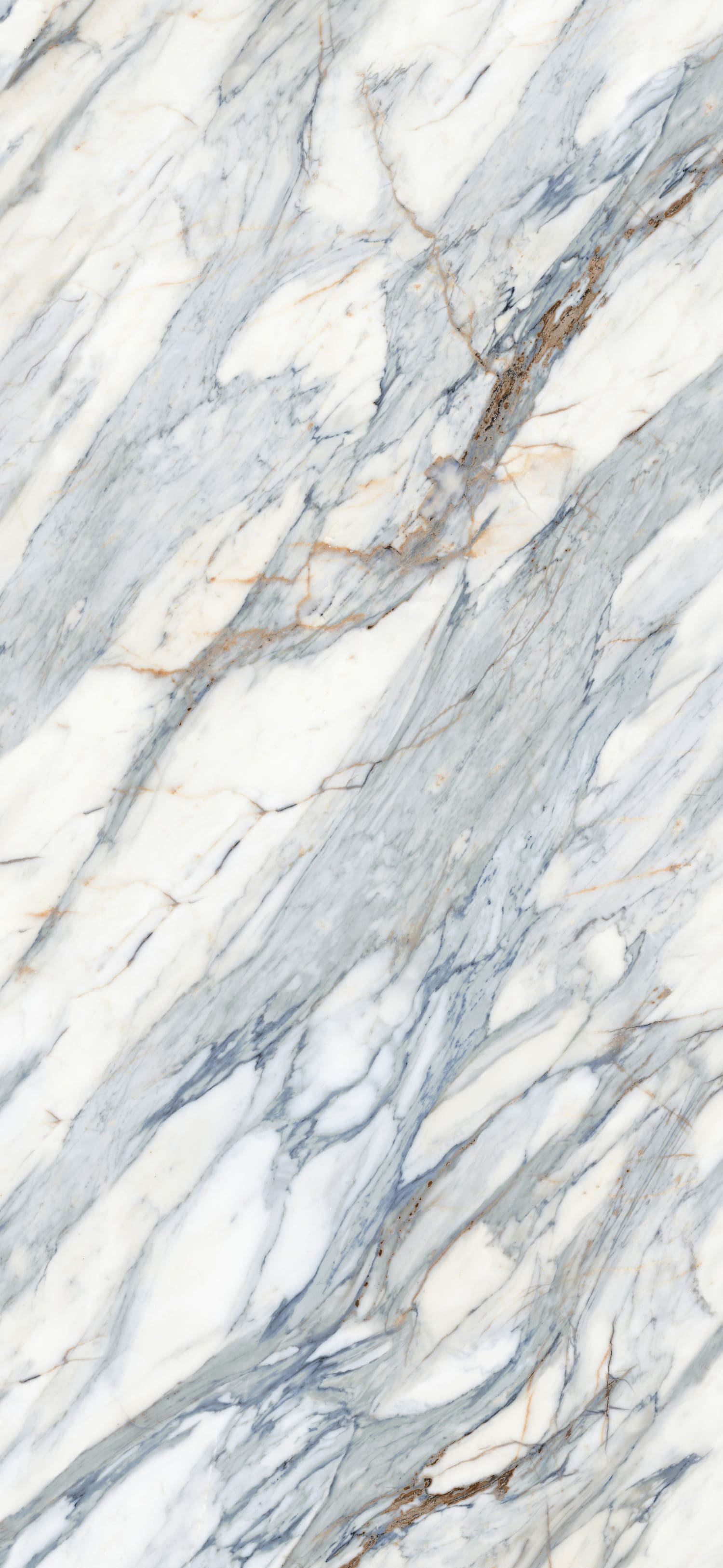 问鼎app官方下载