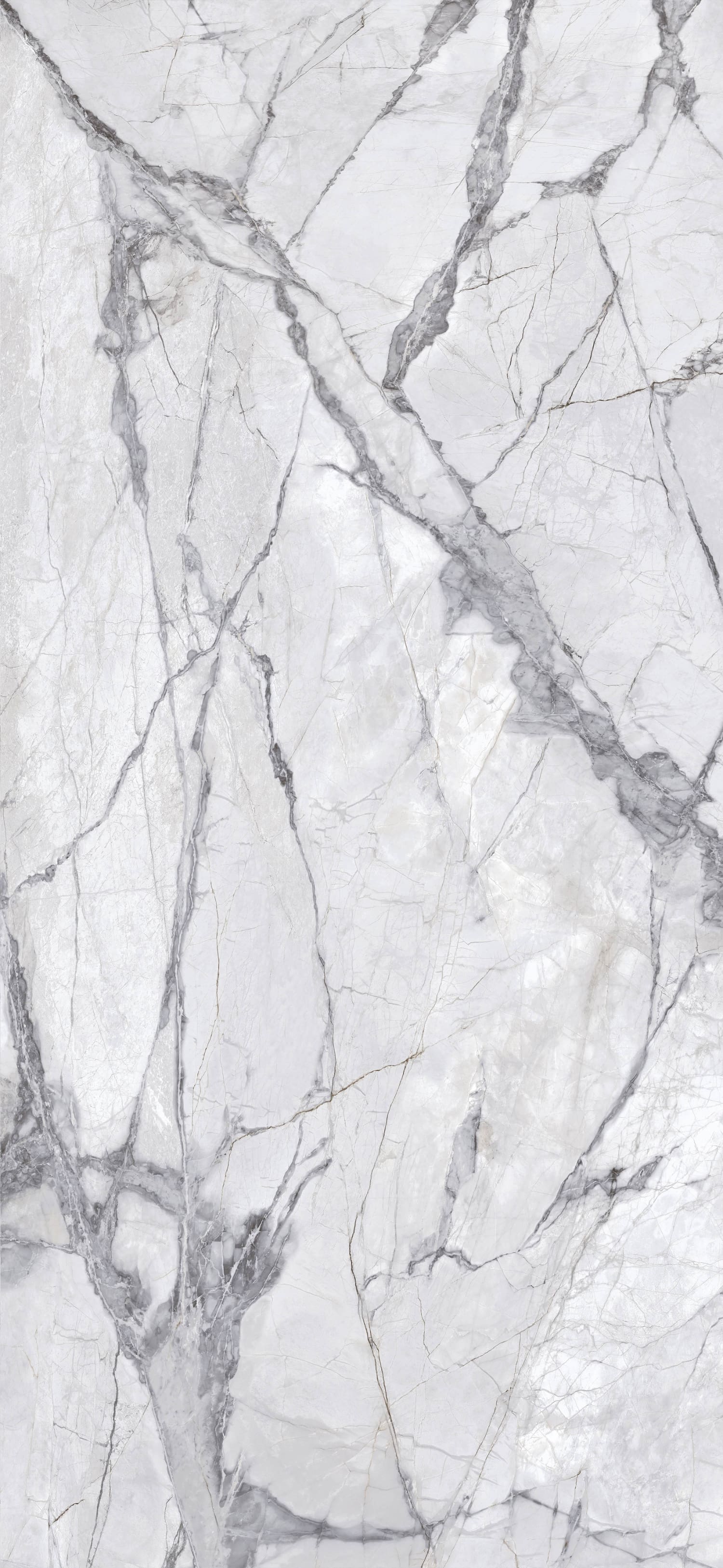 问鼎app官方下载