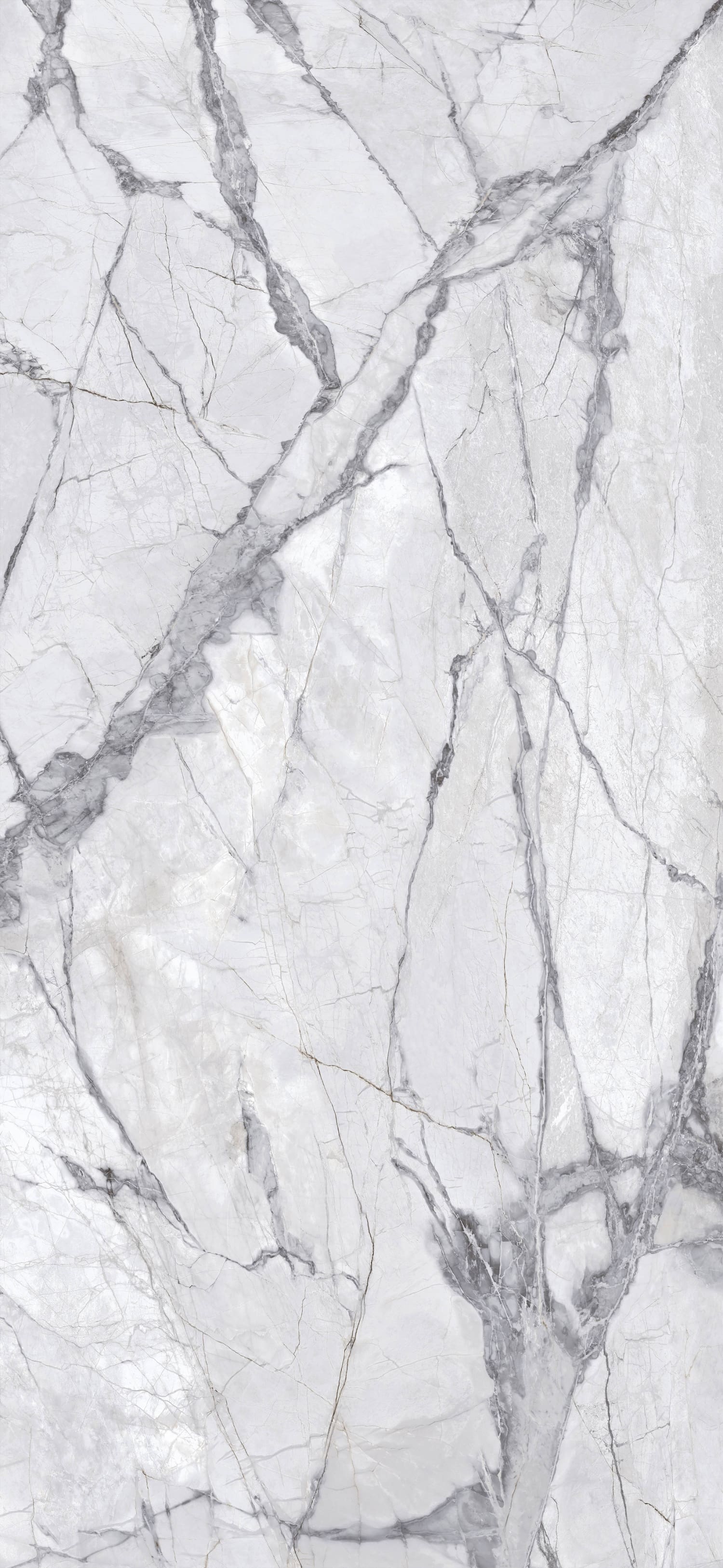 问鼎app官方下载