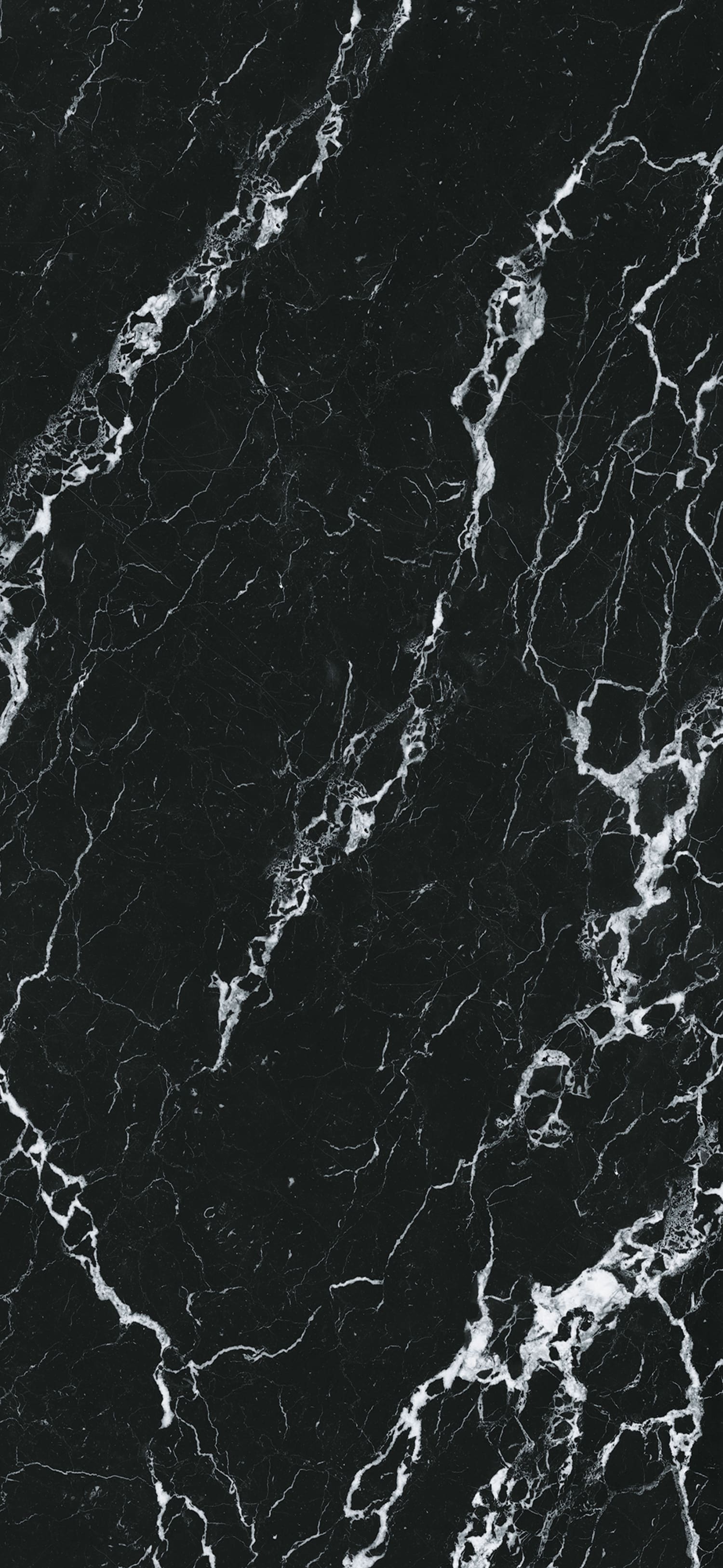 问鼎app官方下载