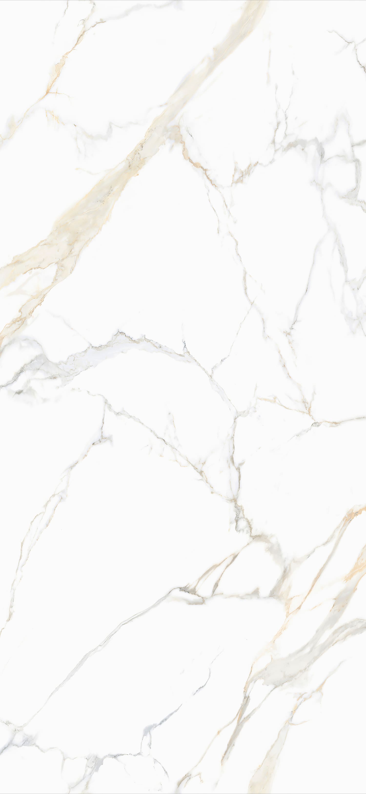 问鼎app官方下载