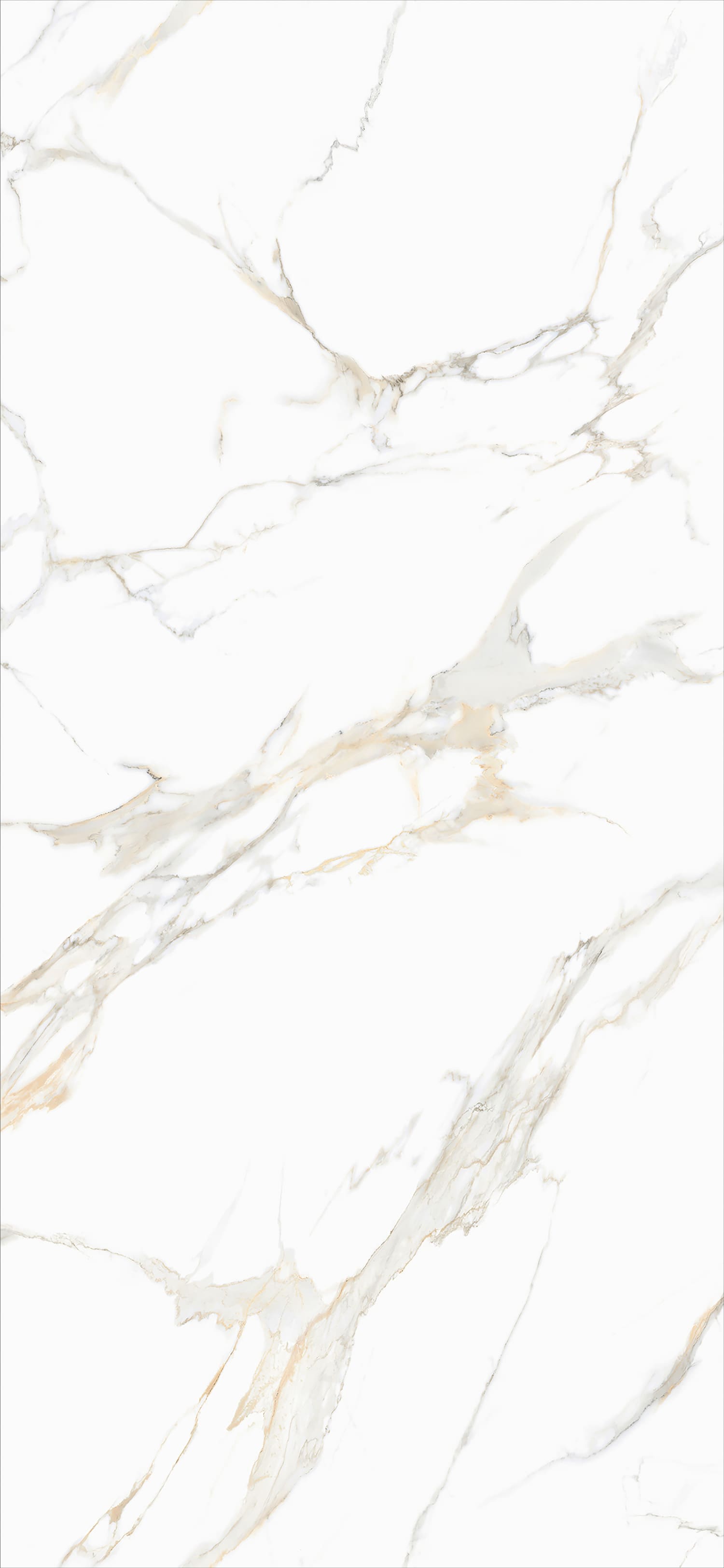 问鼎app官方下载