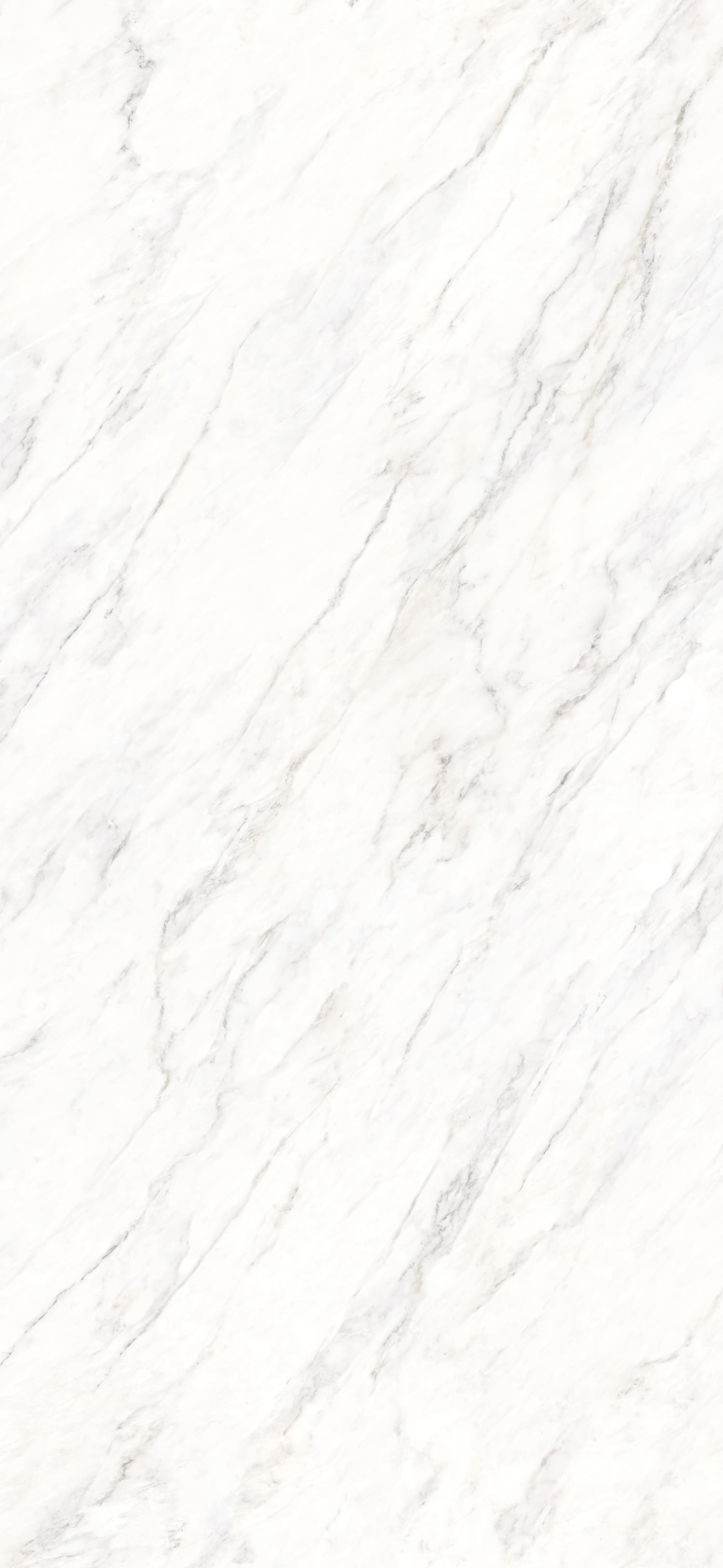 问鼎app官方下载