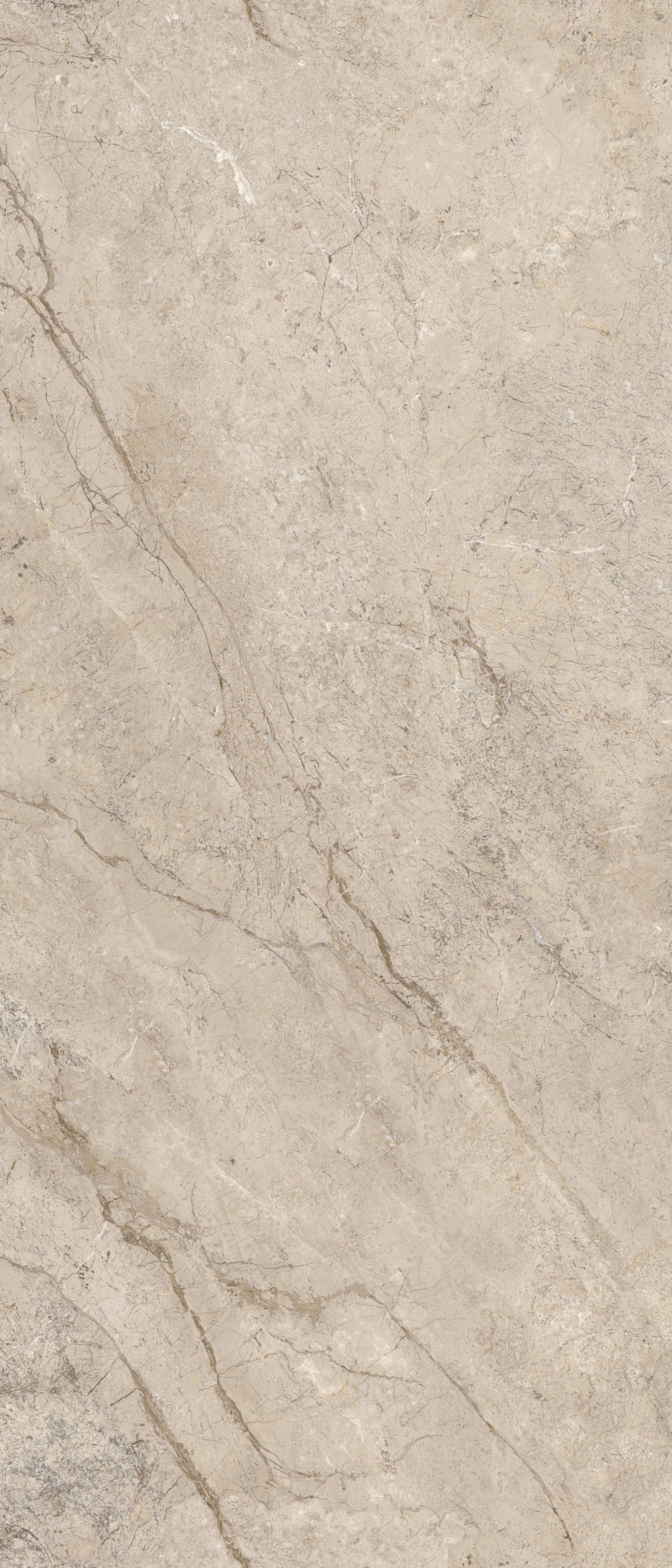 问鼎app官方下载