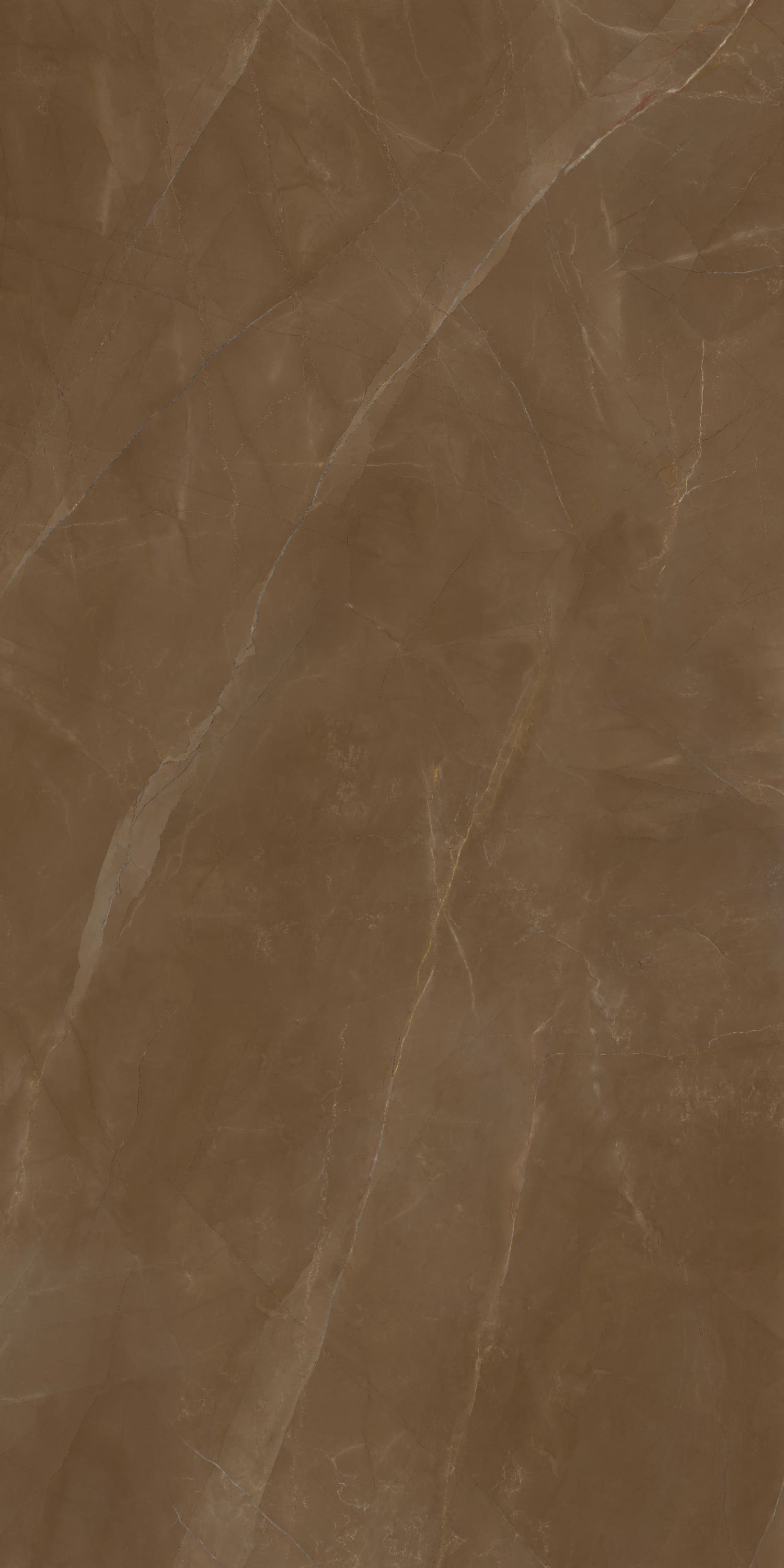 问鼎app官方下载