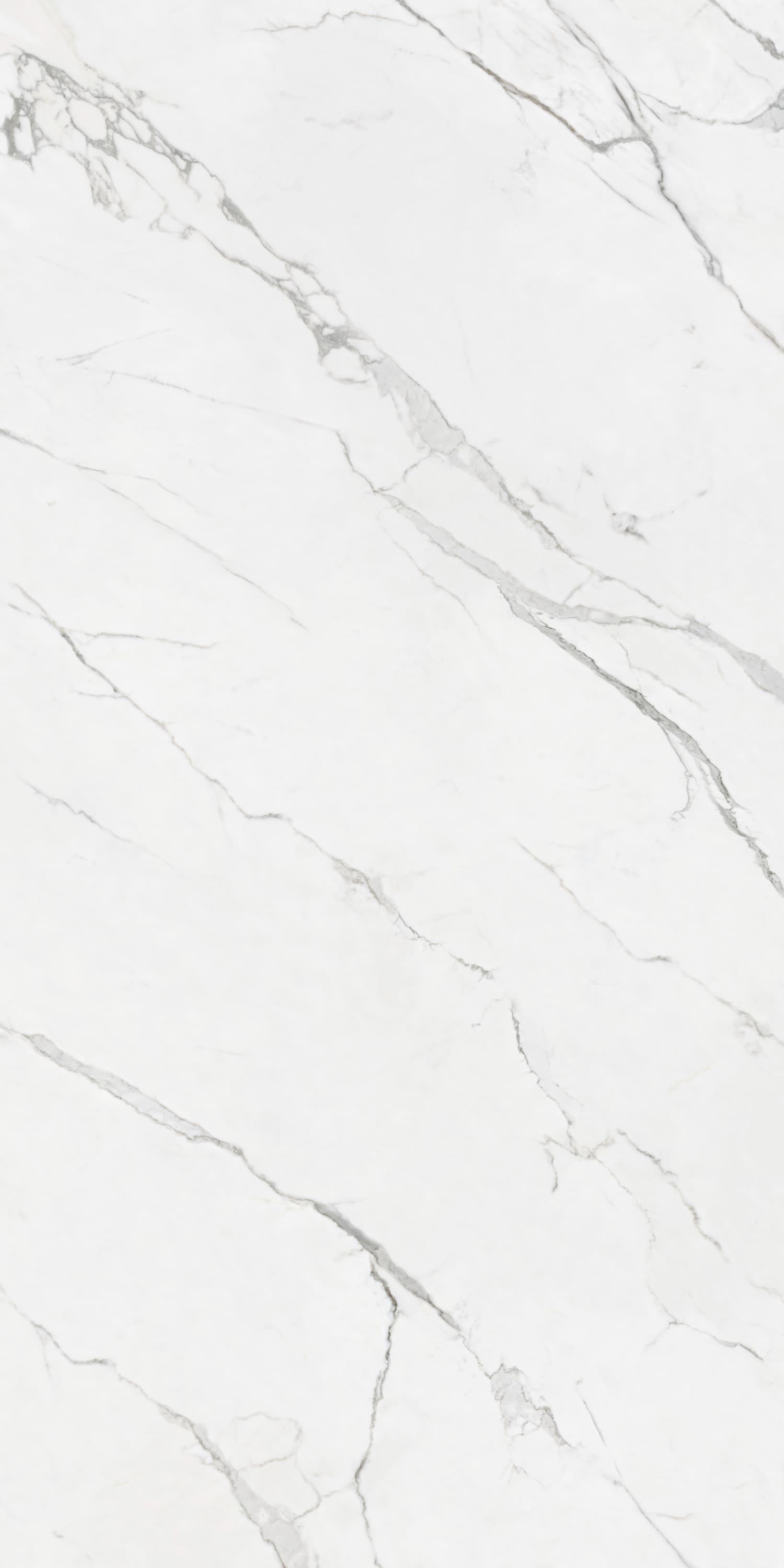 问鼎app官方下载