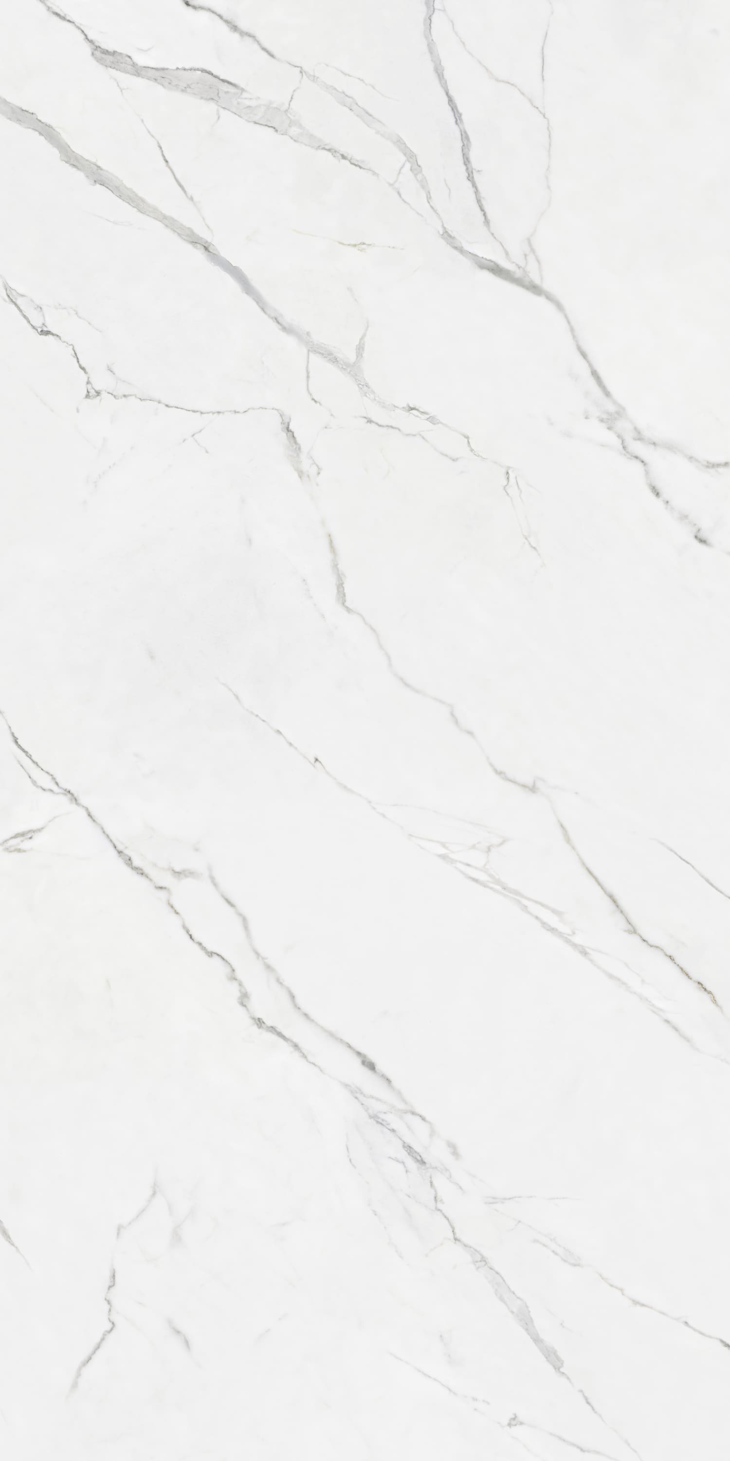 问鼎app官方下载