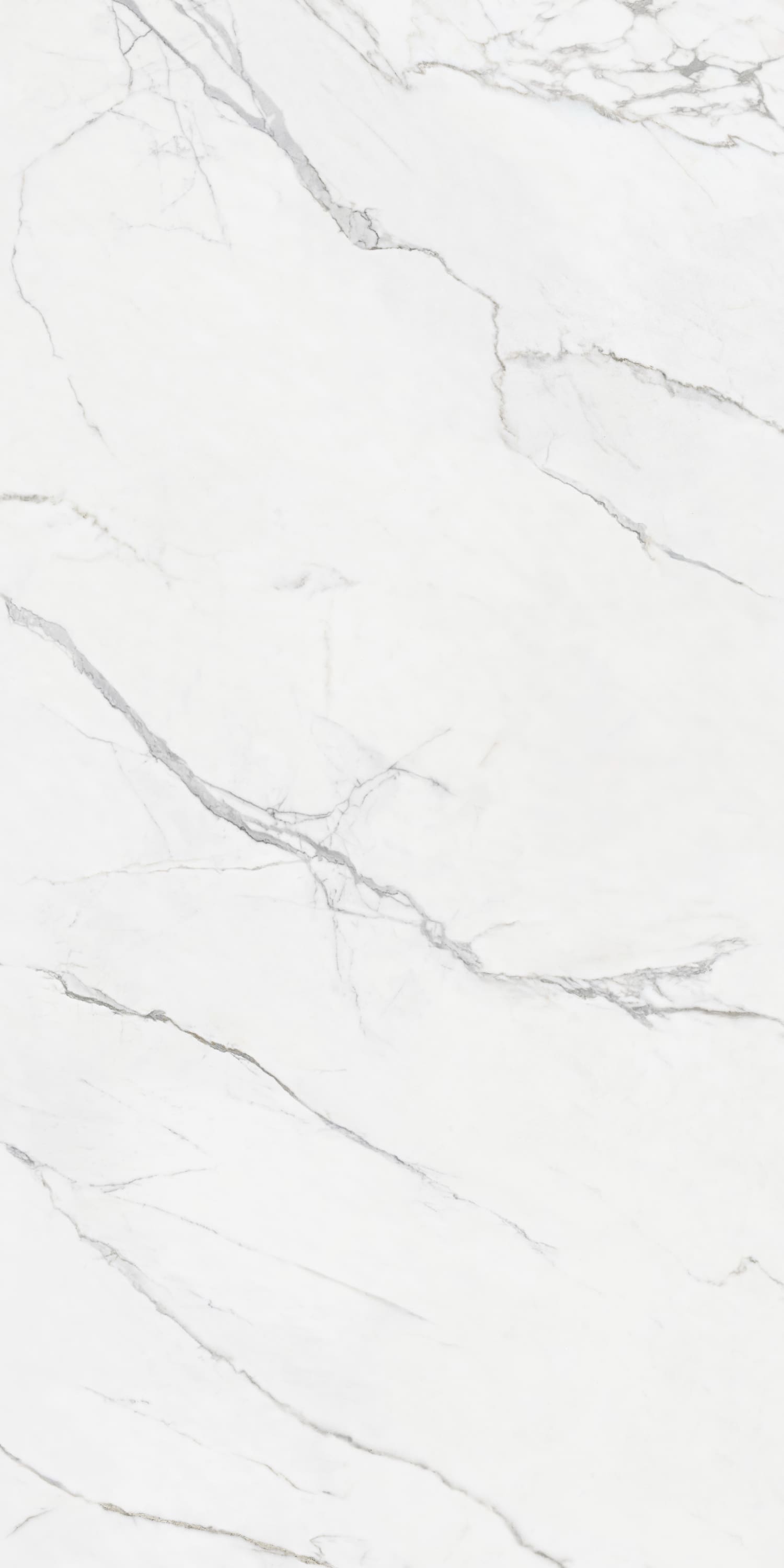 问鼎app官方下载