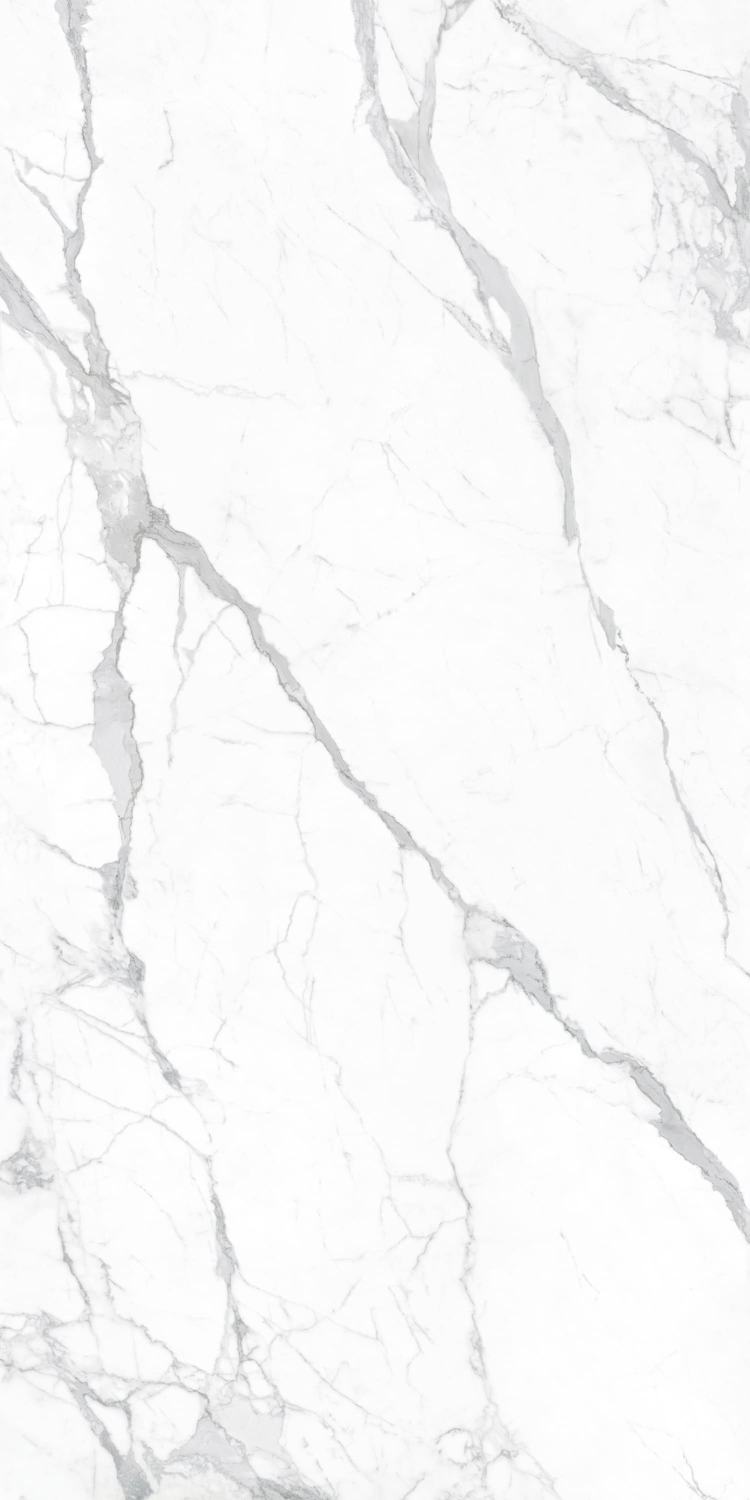 问鼎app官方下载