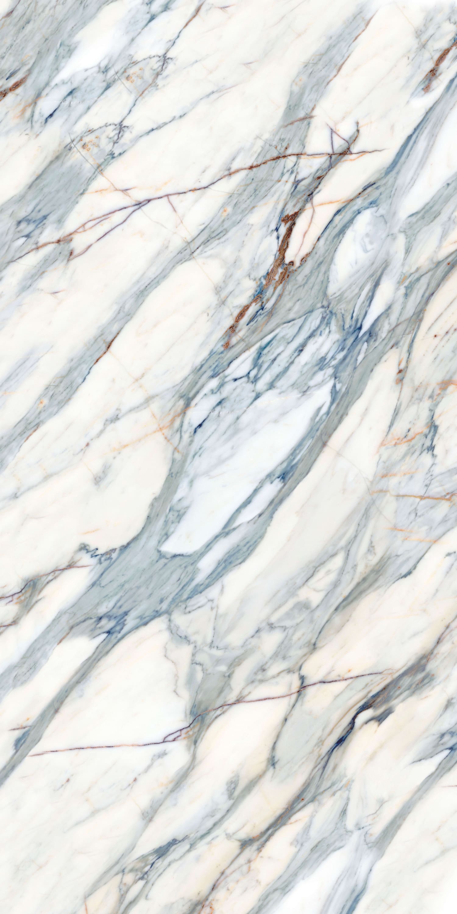 问鼎app官方下载