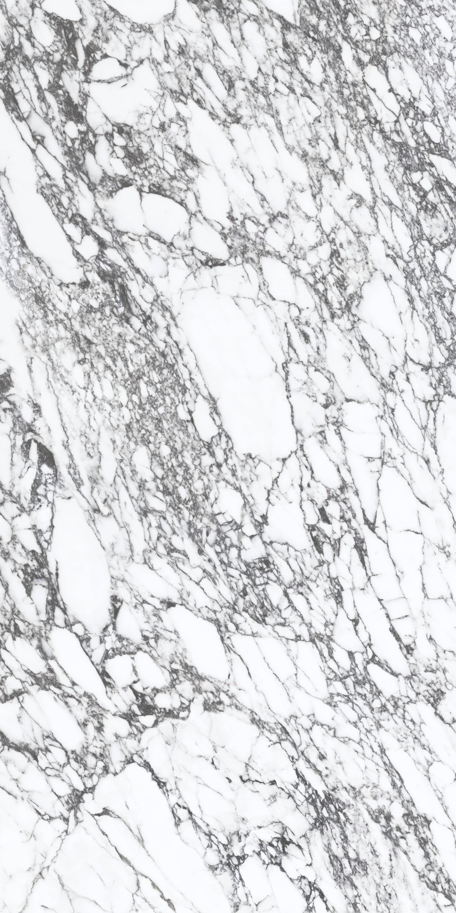 问鼎app官方下载