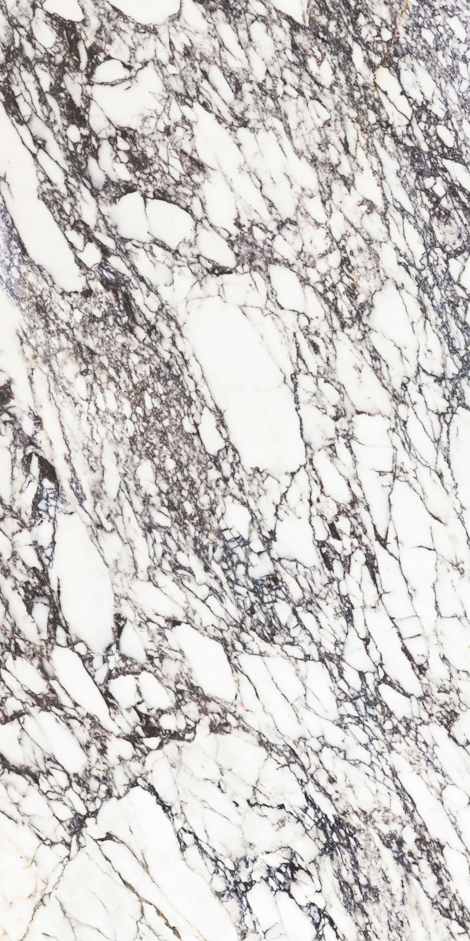 问鼎app官方下载