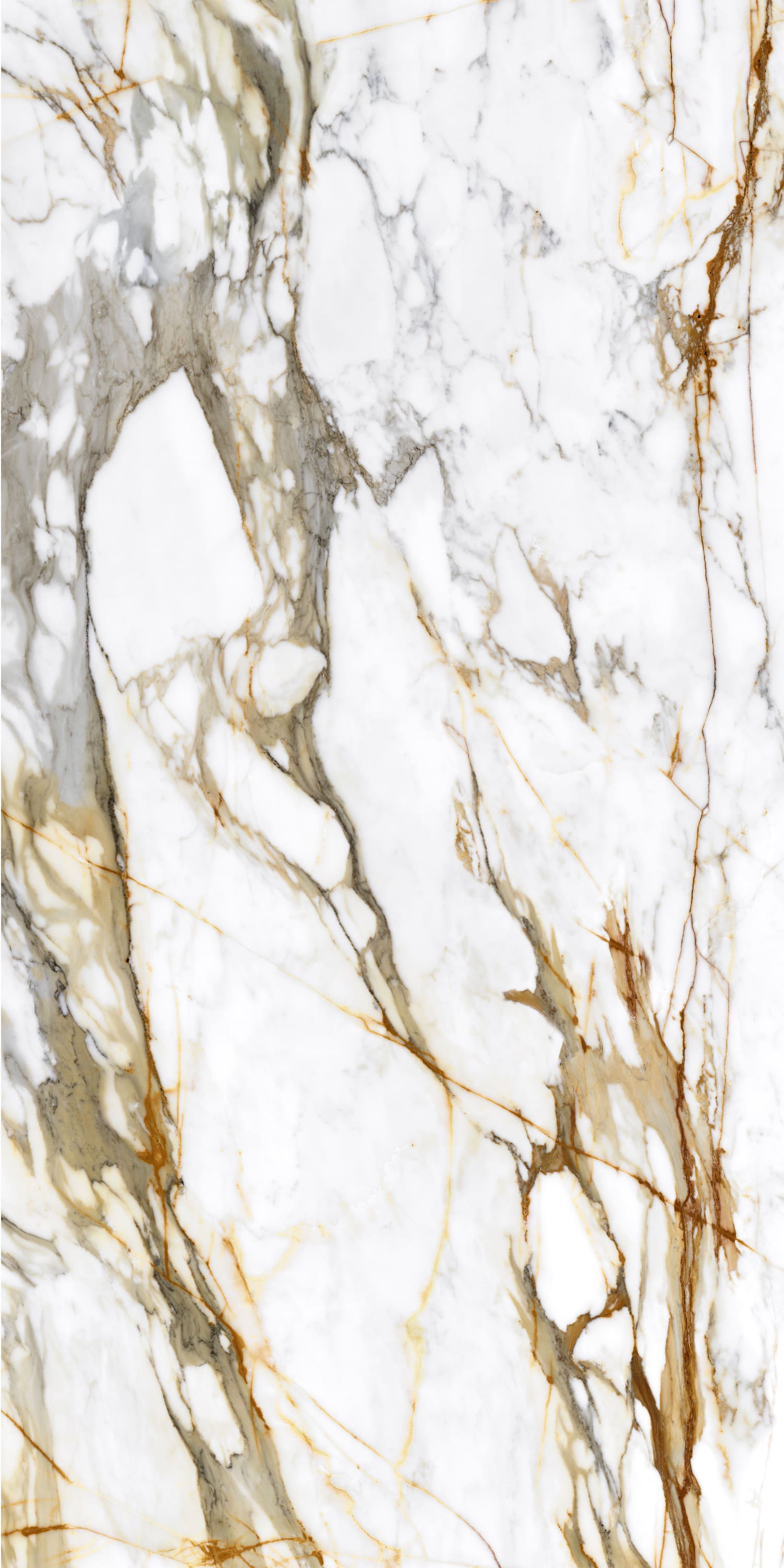 问鼎app官方下载