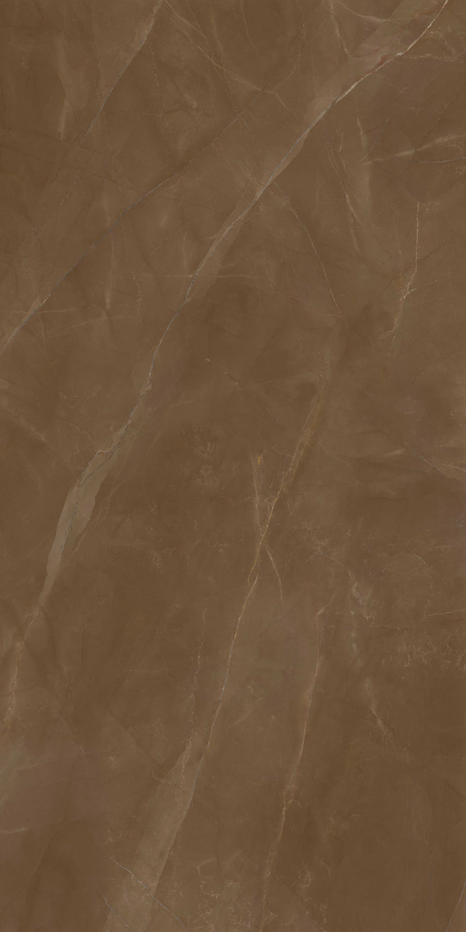 问鼎app官方下载