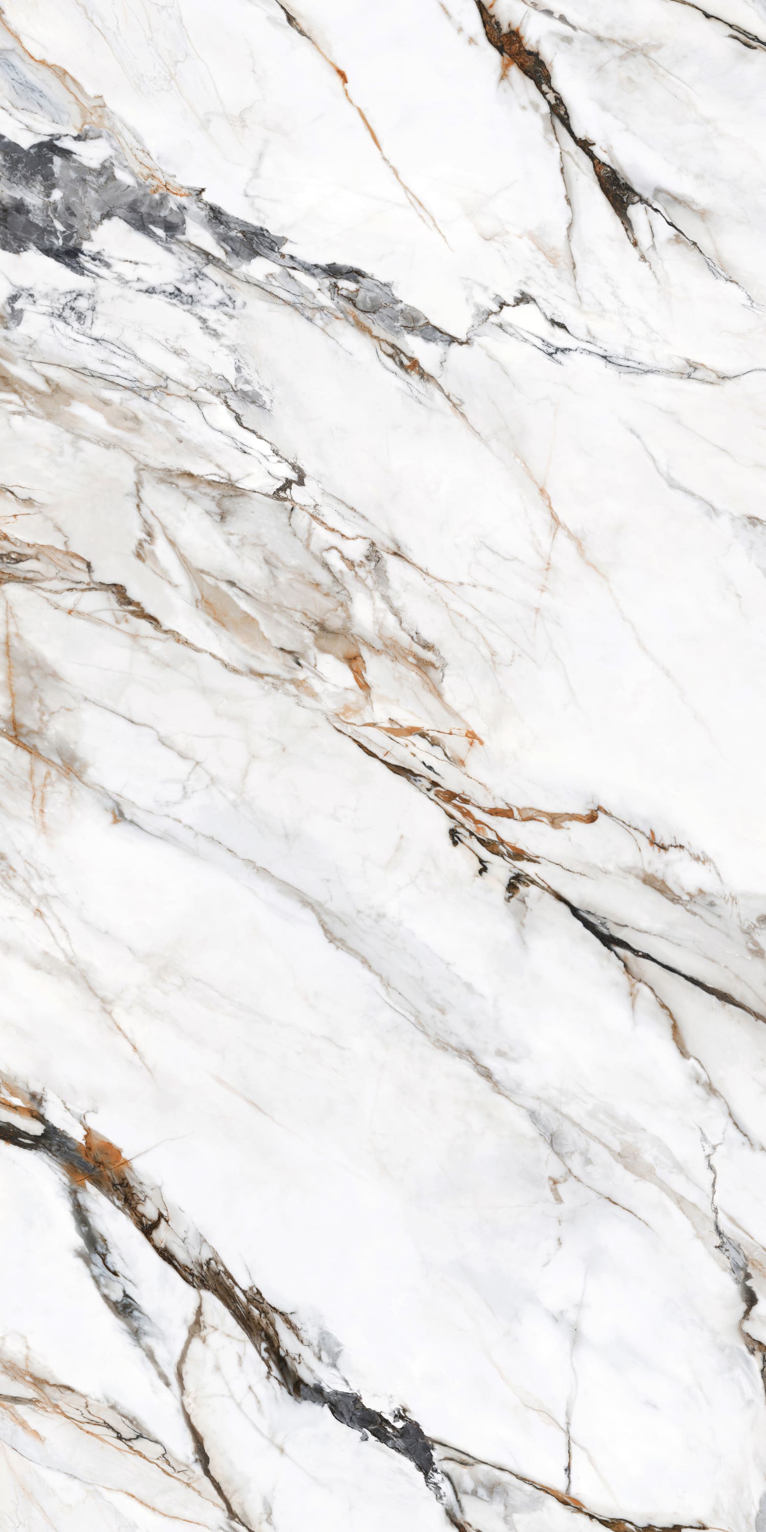 问鼎app官方下载