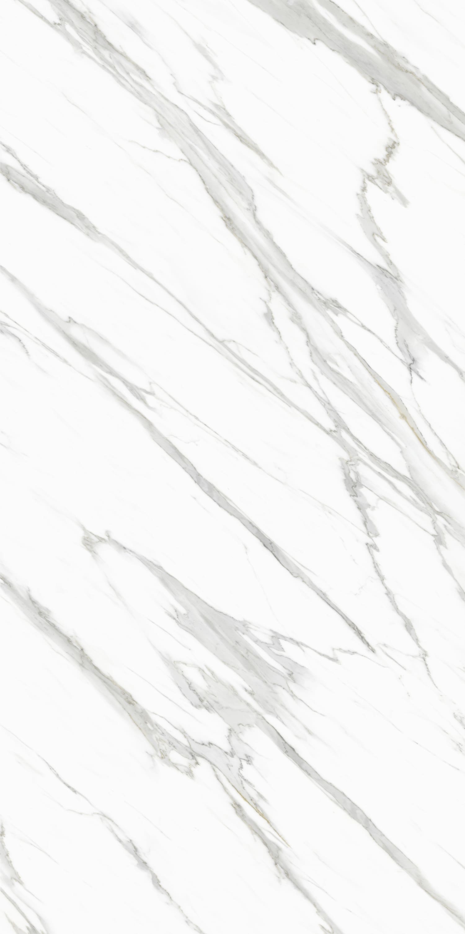 问鼎app官方下载