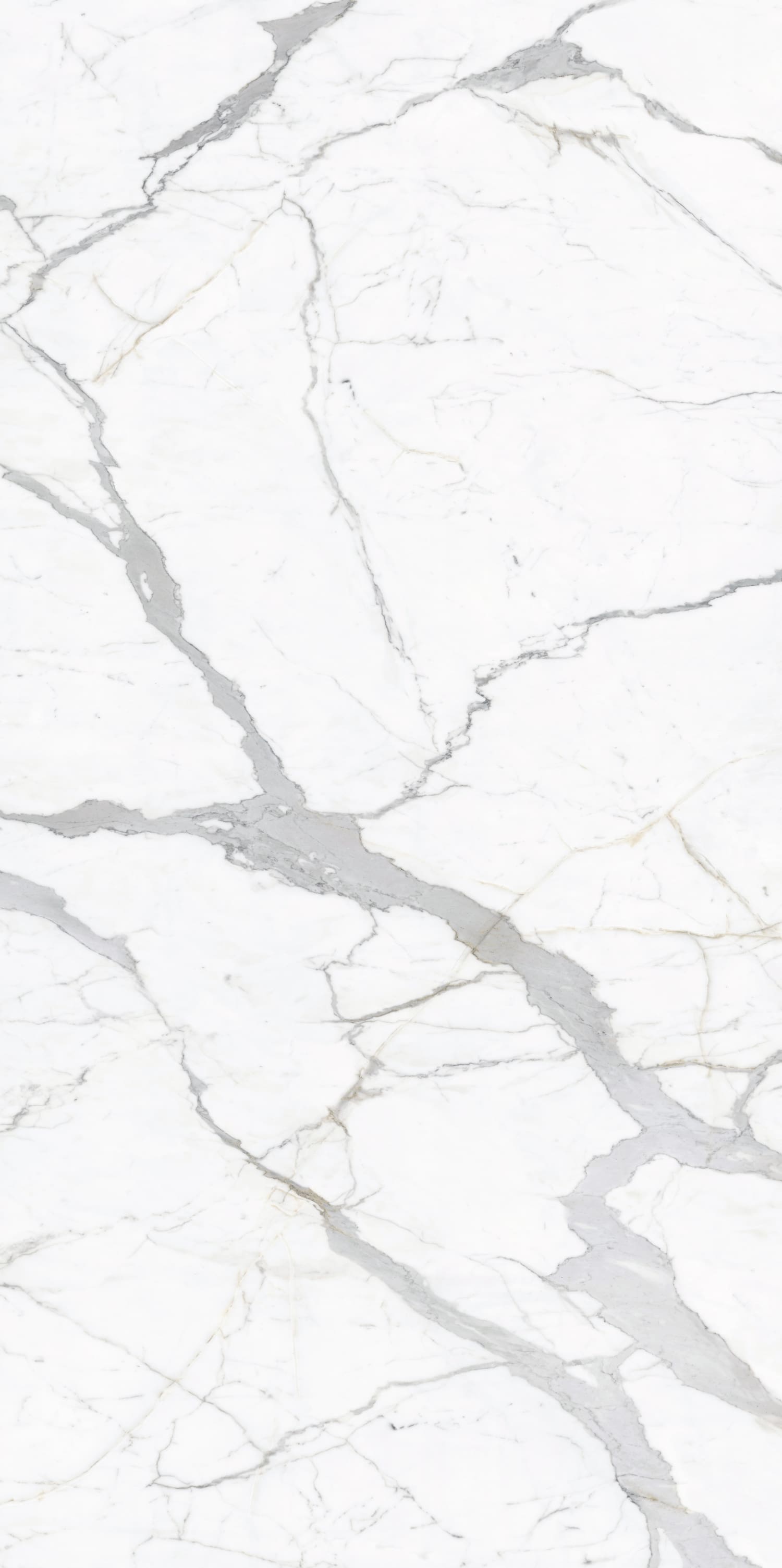 问鼎app官方下载