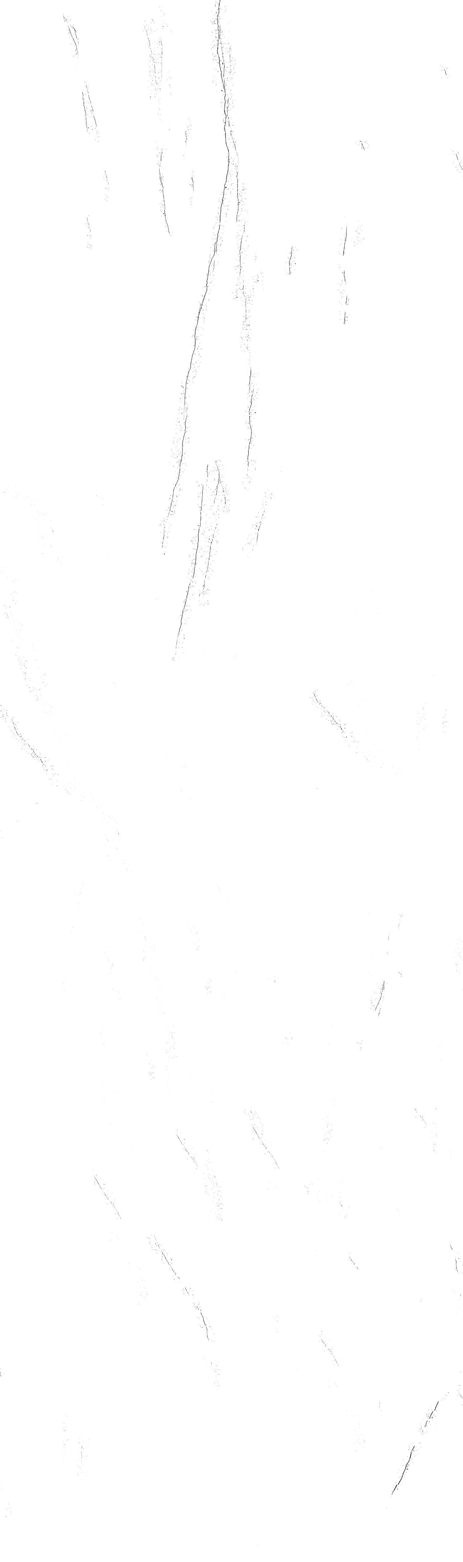 问鼎app官方下载