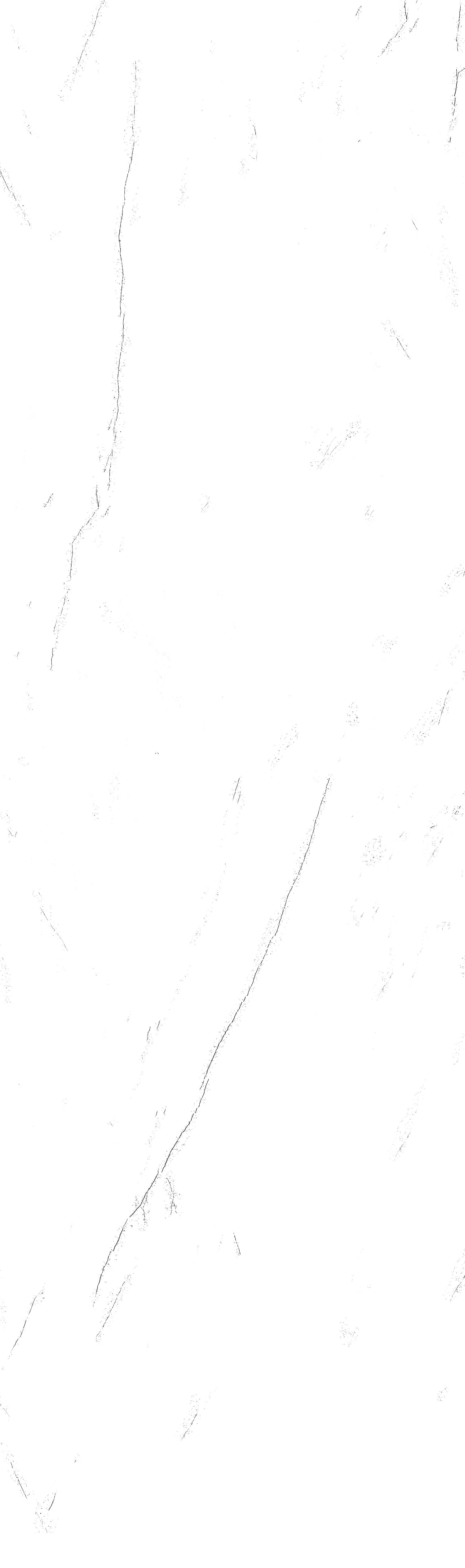 问鼎app官方下载