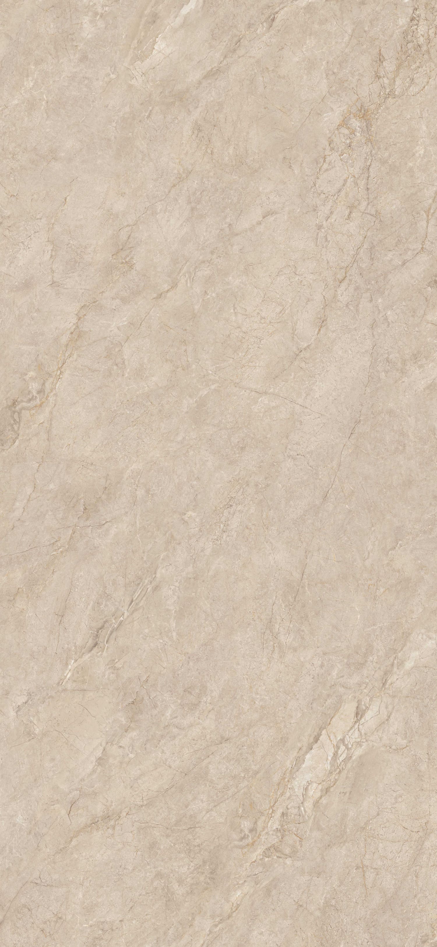 问鼎app官方下载