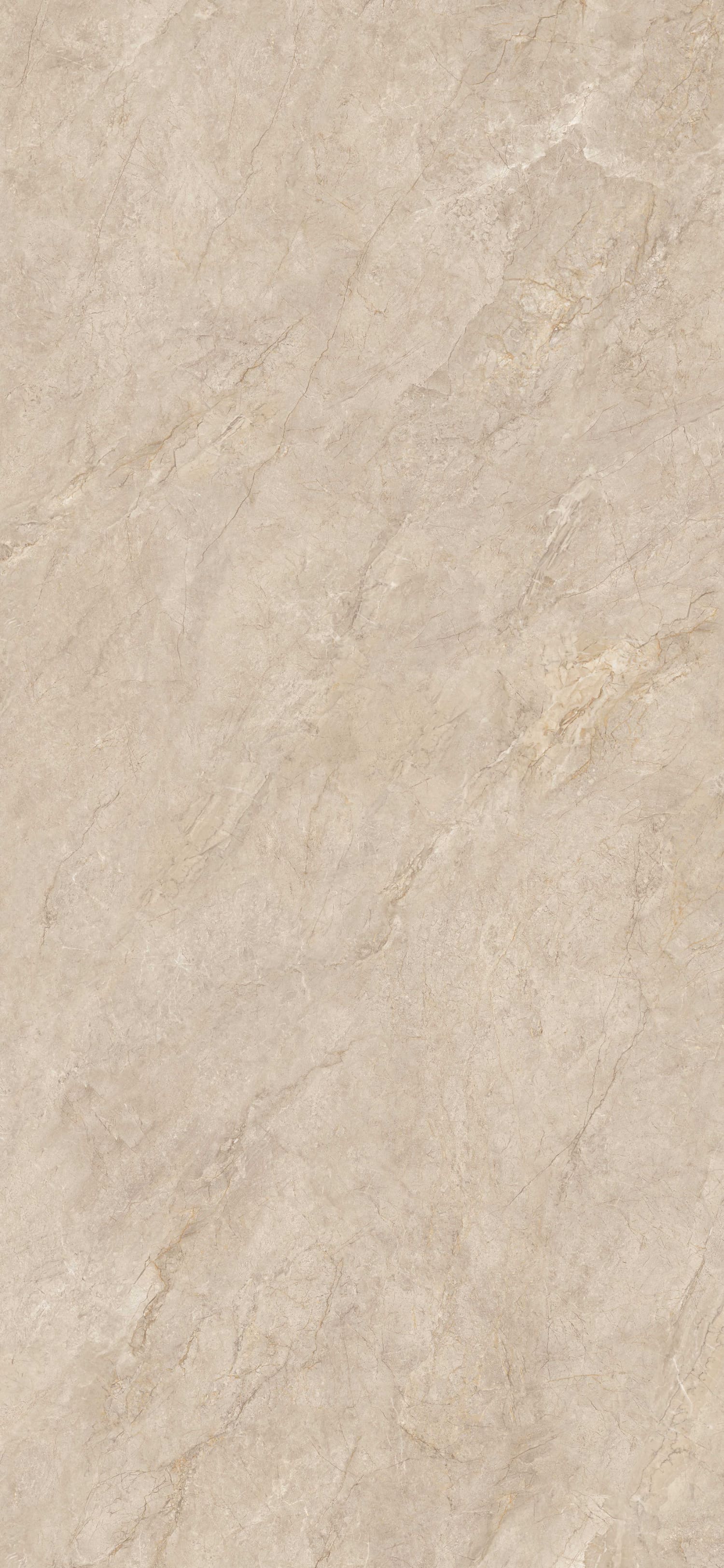 问鼎app官方下载