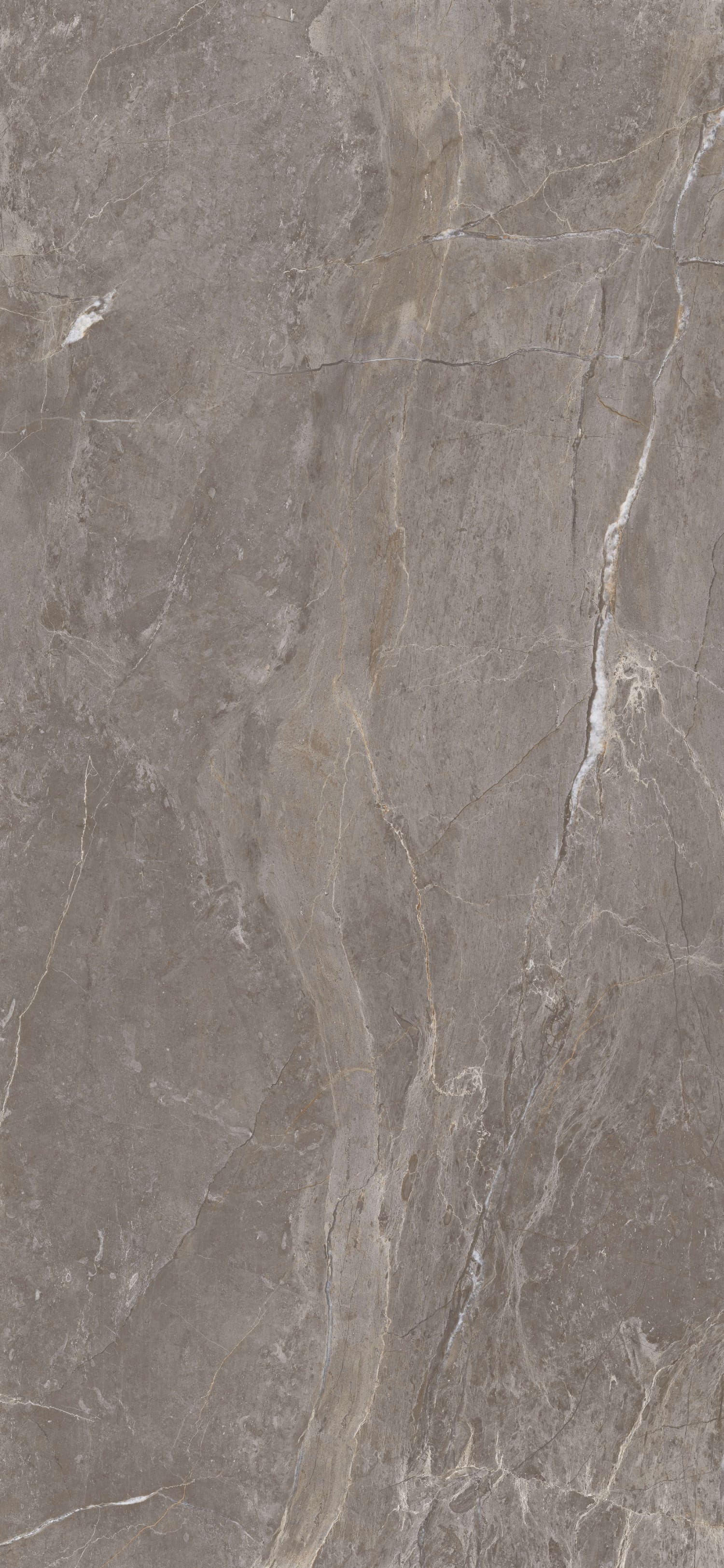 问鼎app官方下载