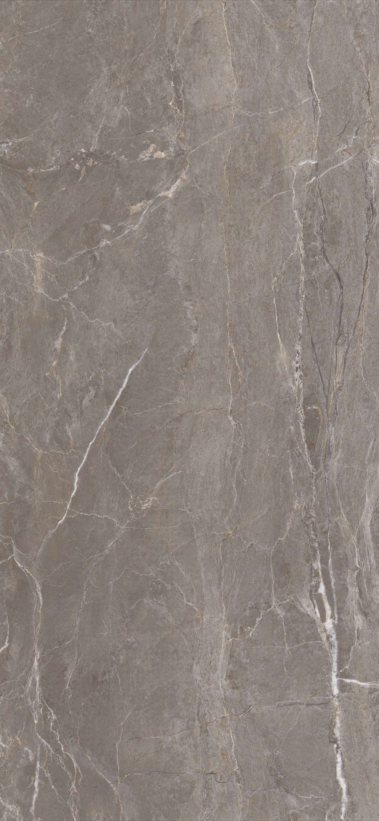 问鼎app官方下载