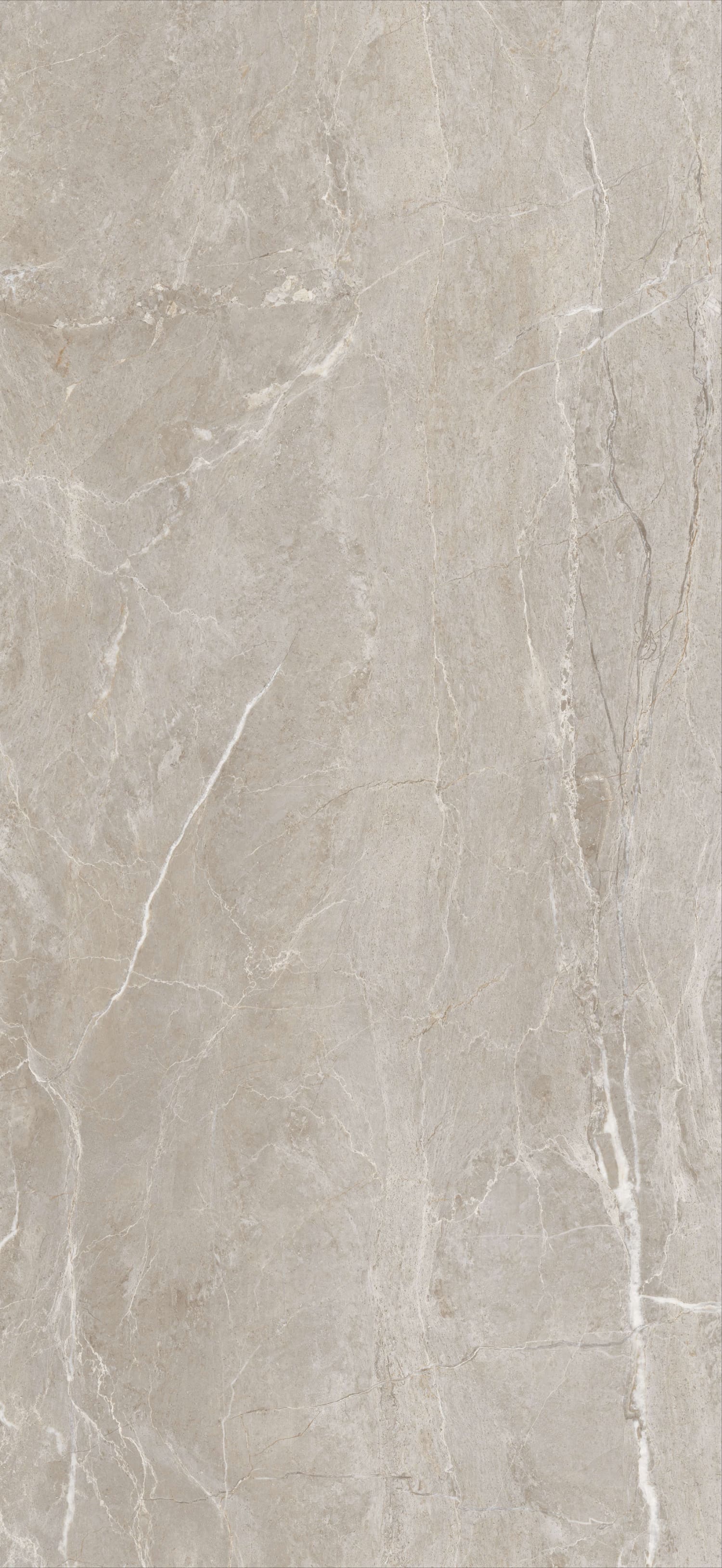 问鼎app官方下载