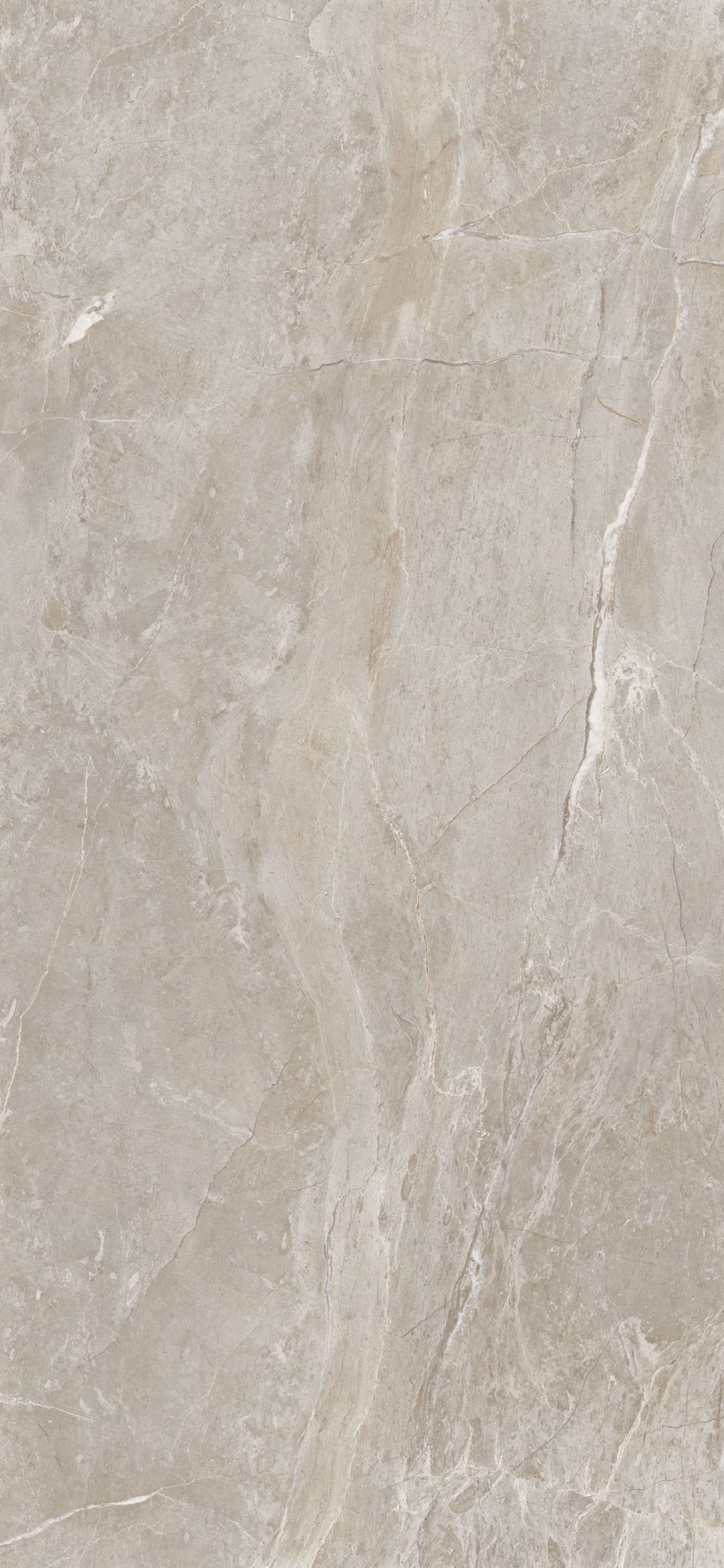 问鼎app官方下载