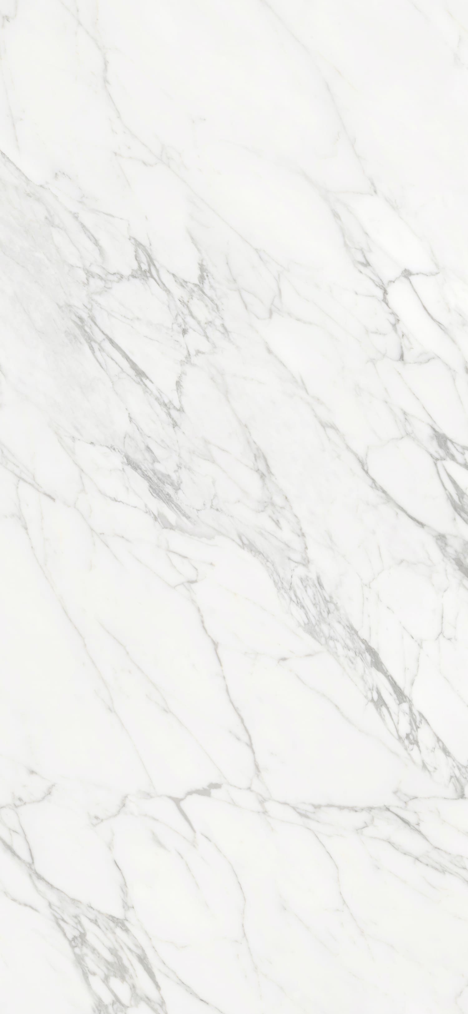 问鼎app官方下载