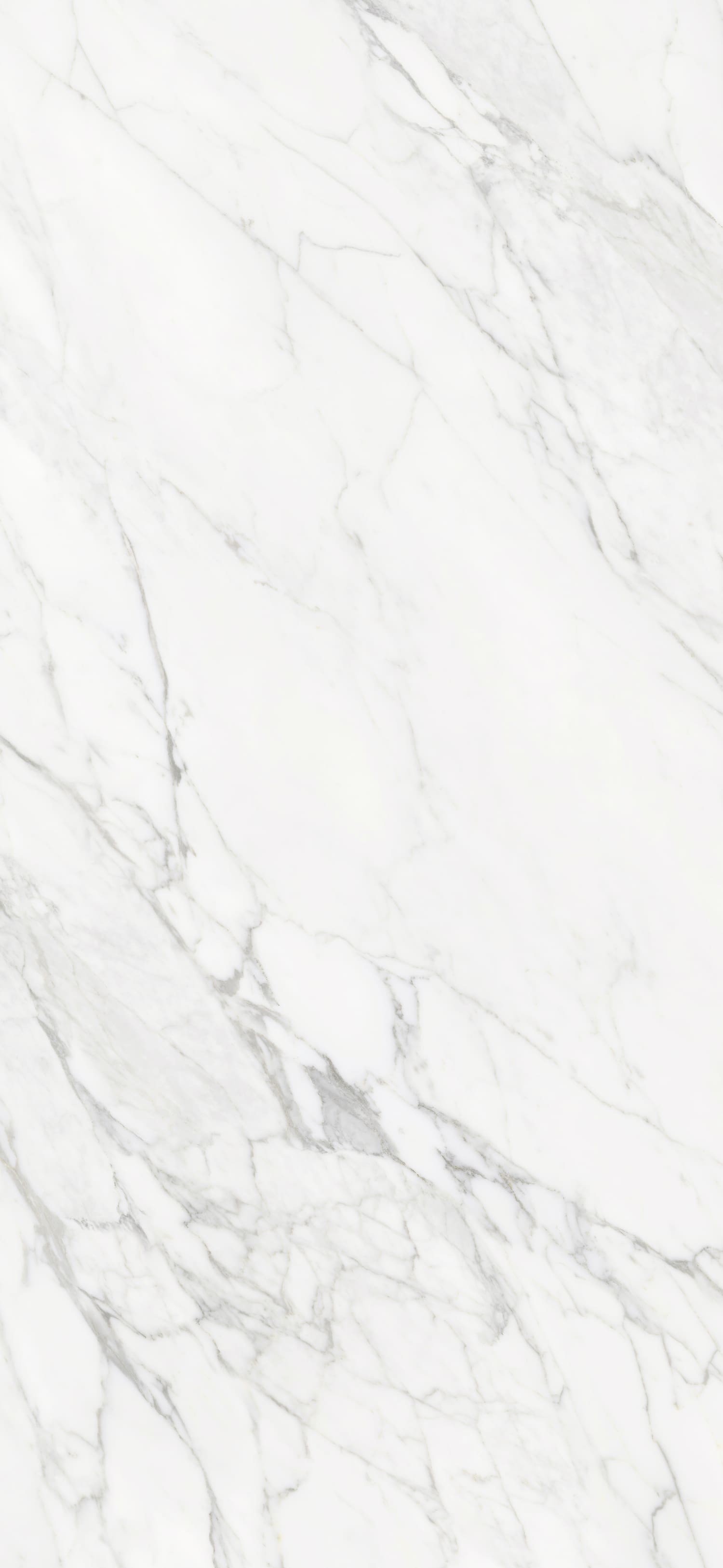 问鼎app官方下载