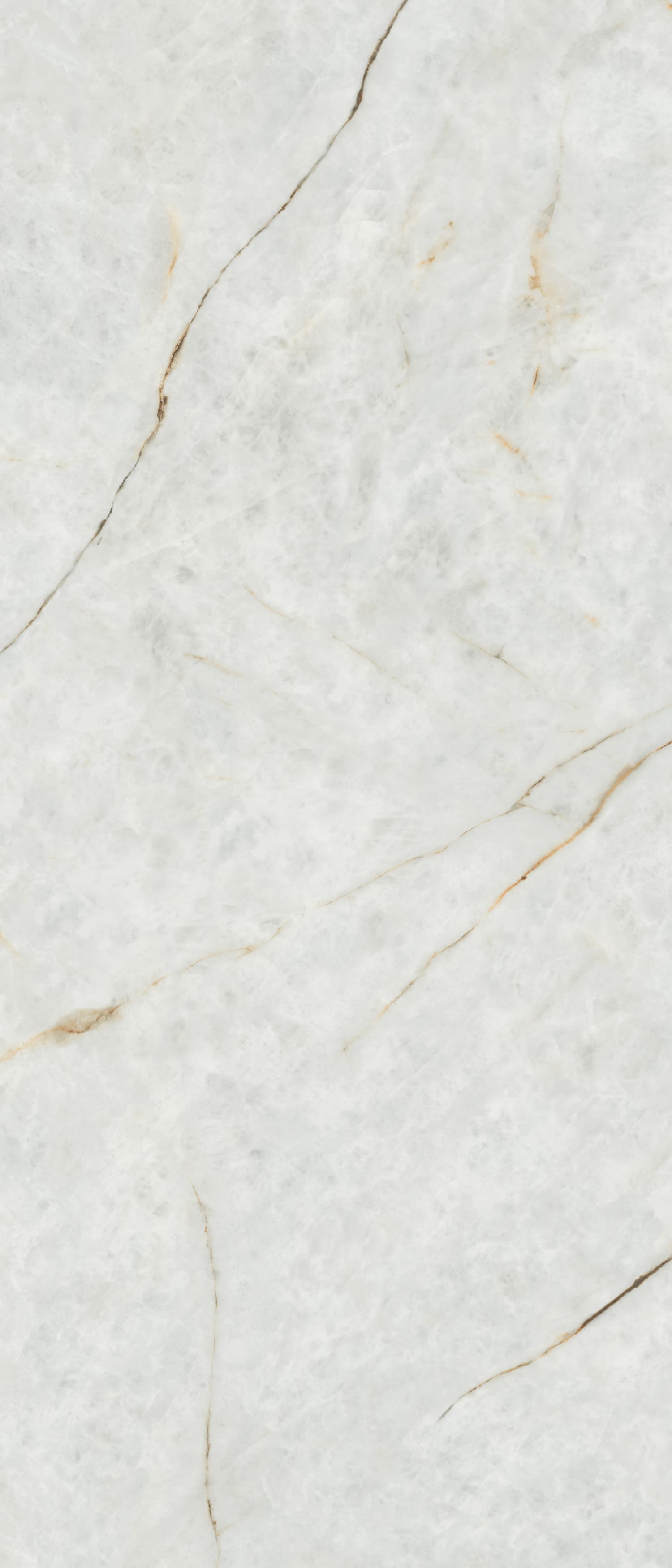 问鼎app官方下载