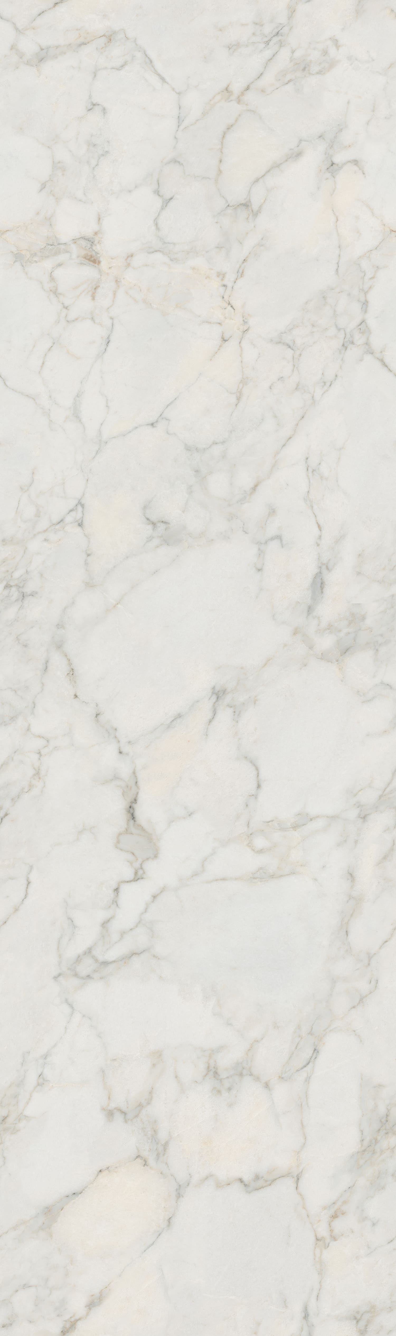 问鼎app官方下载