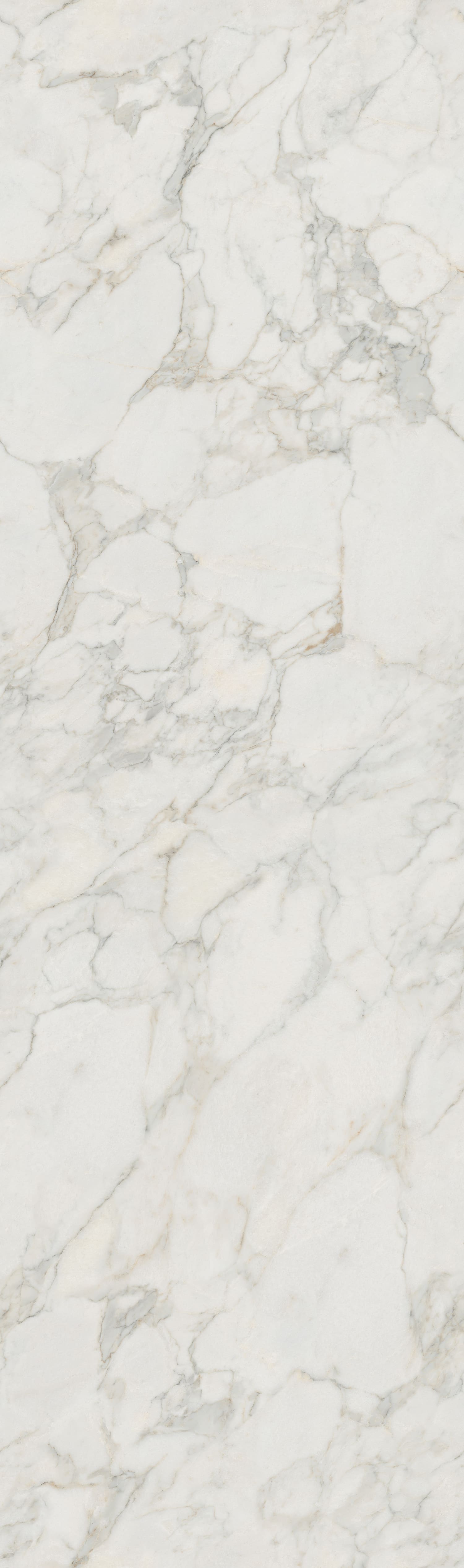 问鼎app官方下载