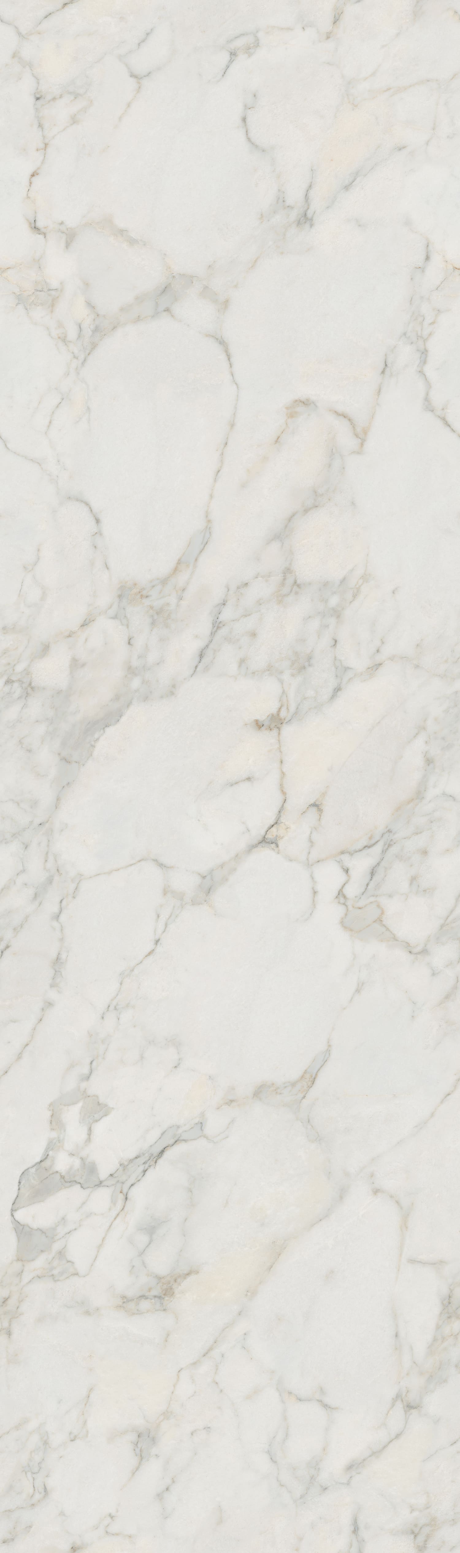 问鼎app官方下载