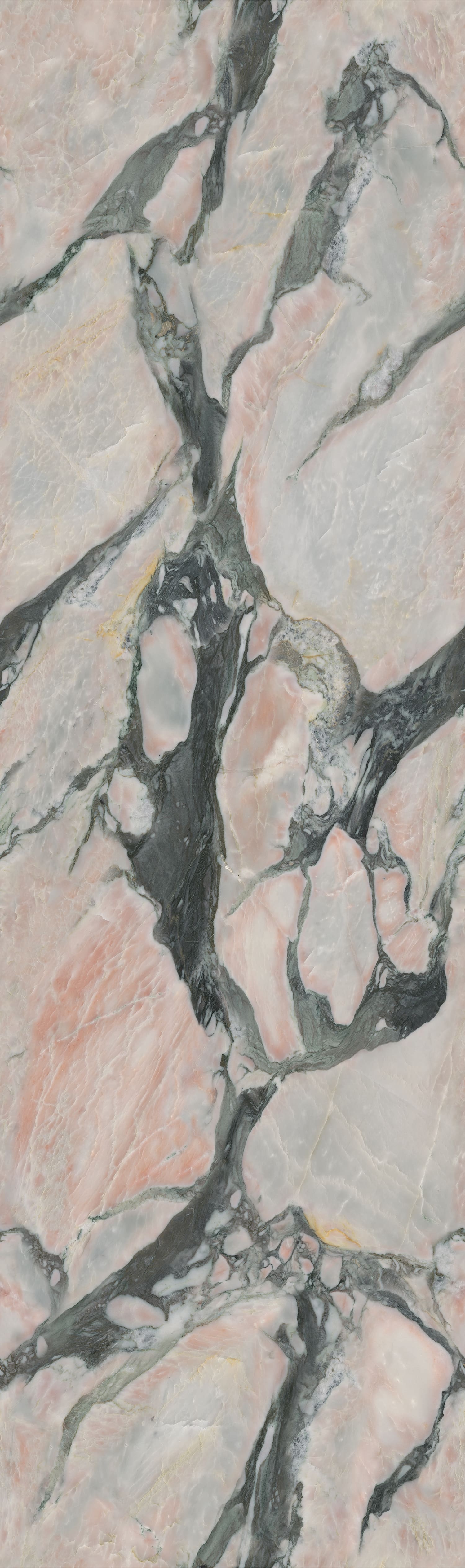 问鼎app官方下载