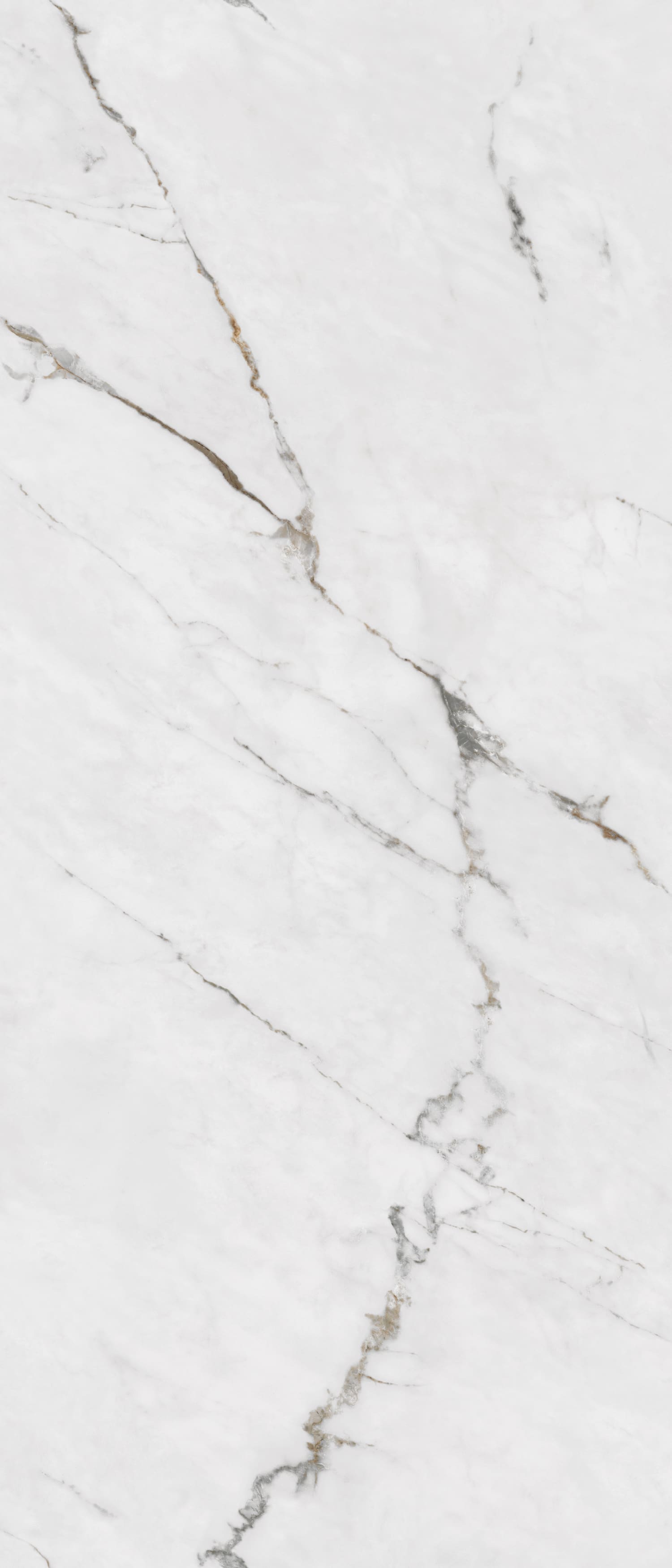 问鼎app官方下载