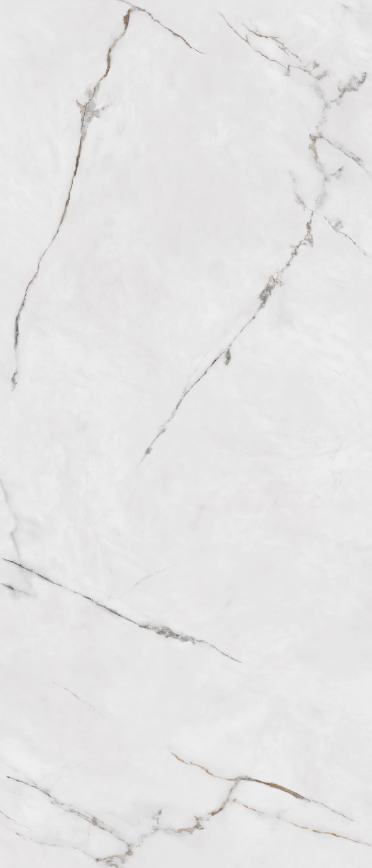 问鼎app官方下载