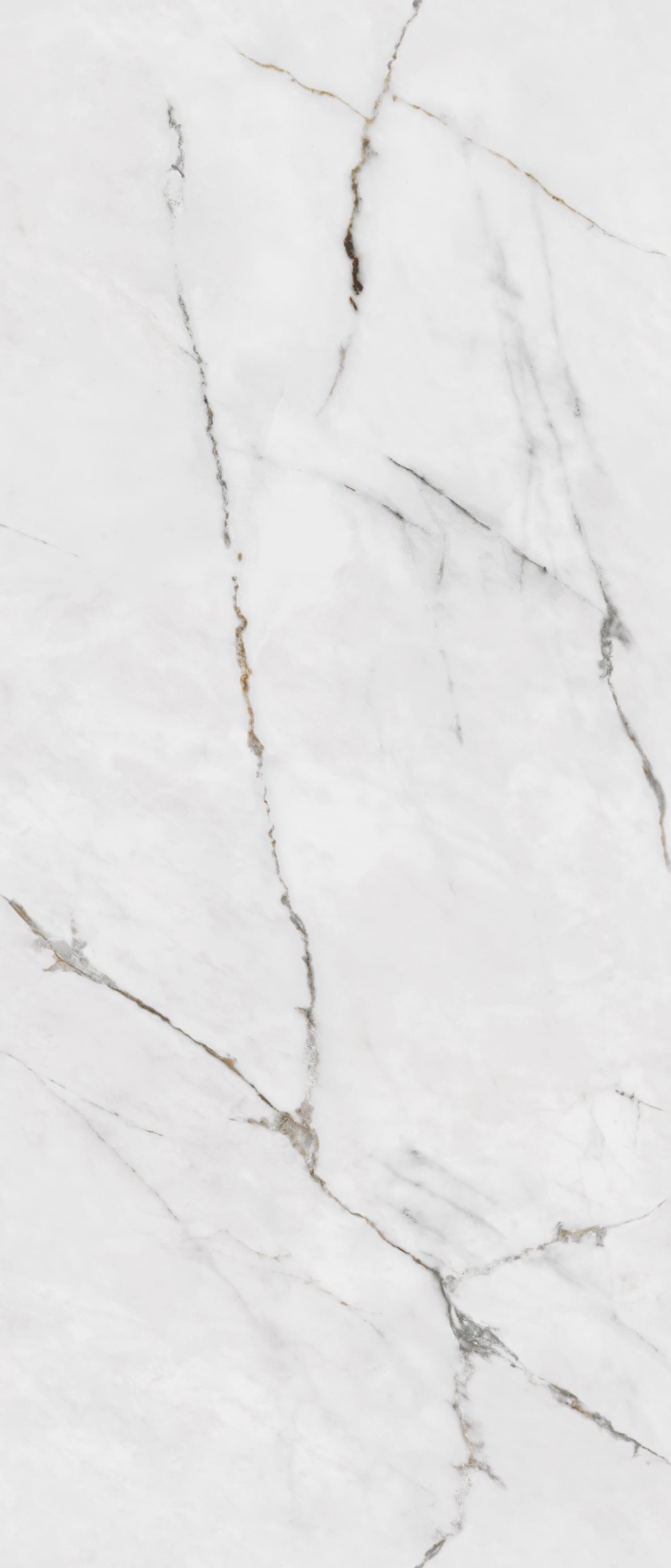 问鼎app官方下载