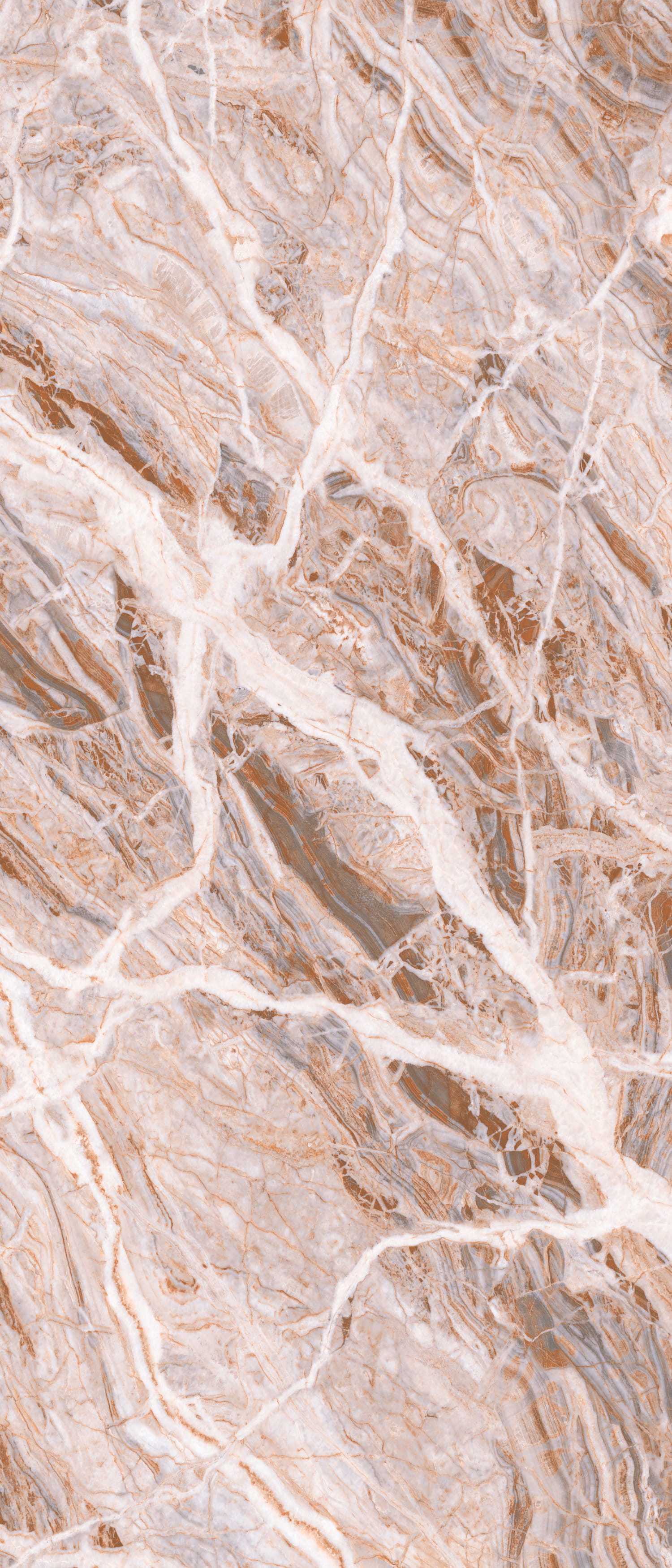 问鼎app官方下载