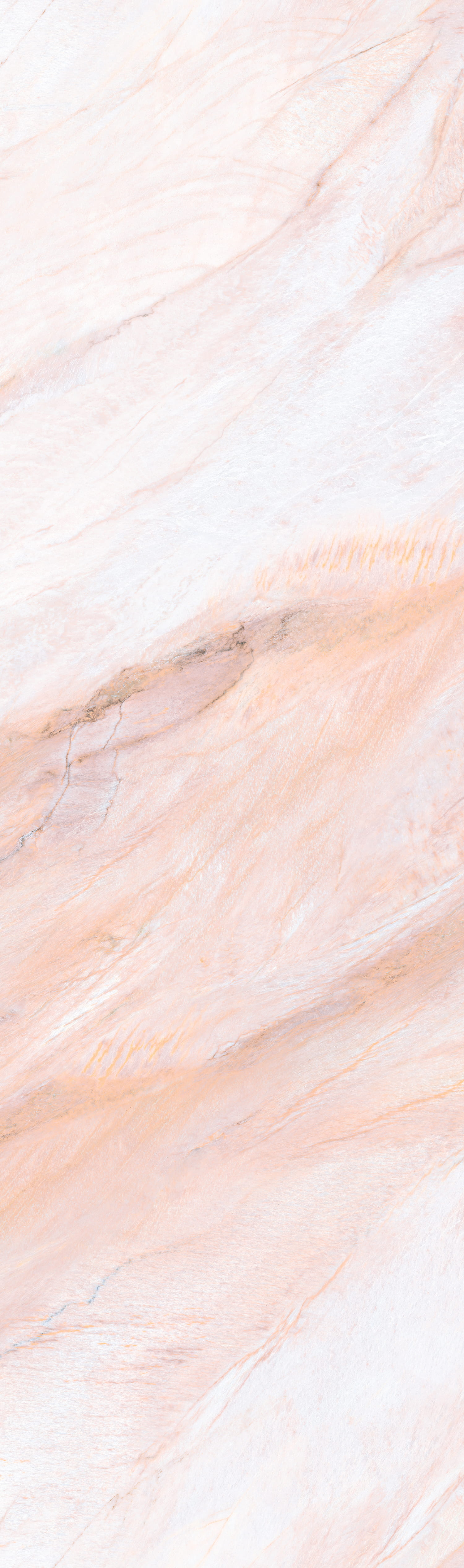 问鼎app官方下载