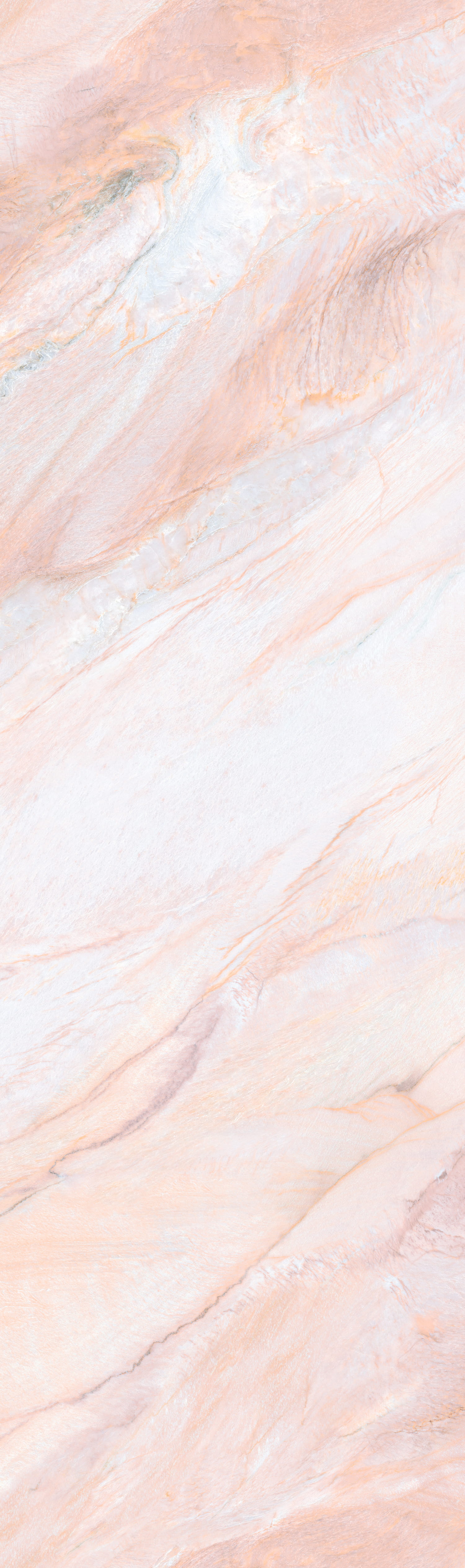 问鼎app官方下载