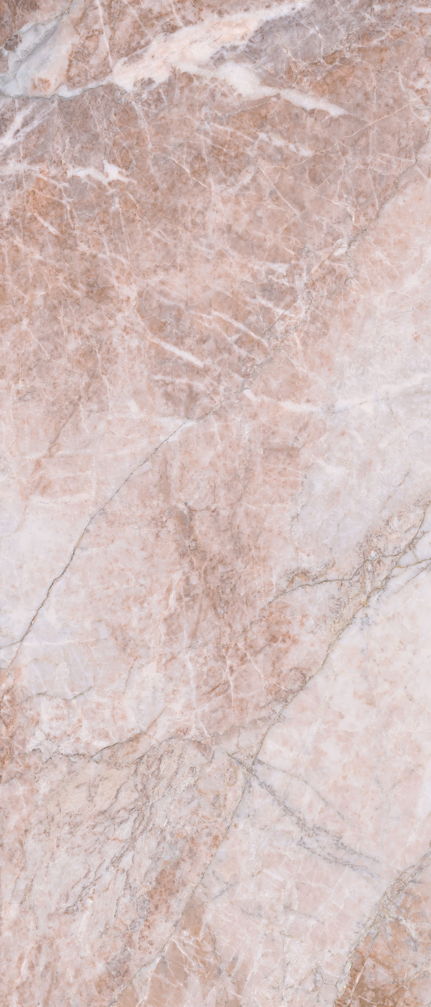 问鼎app官方下载