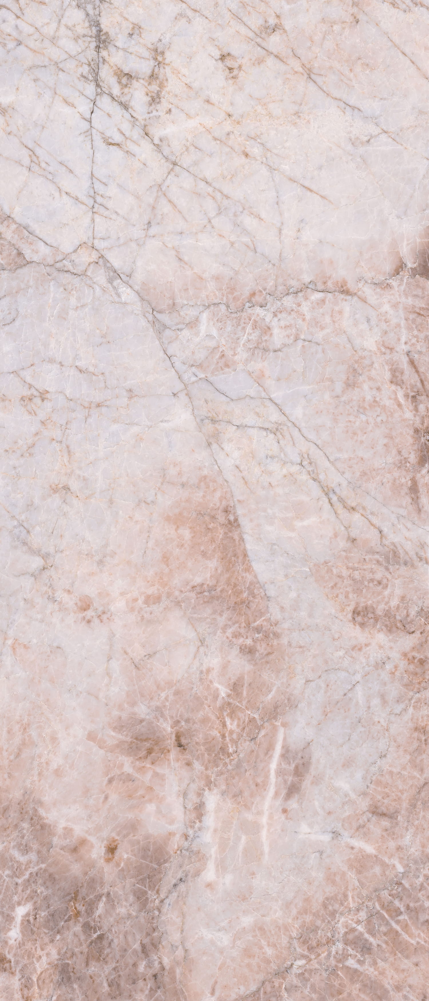 问鼎app官方下载