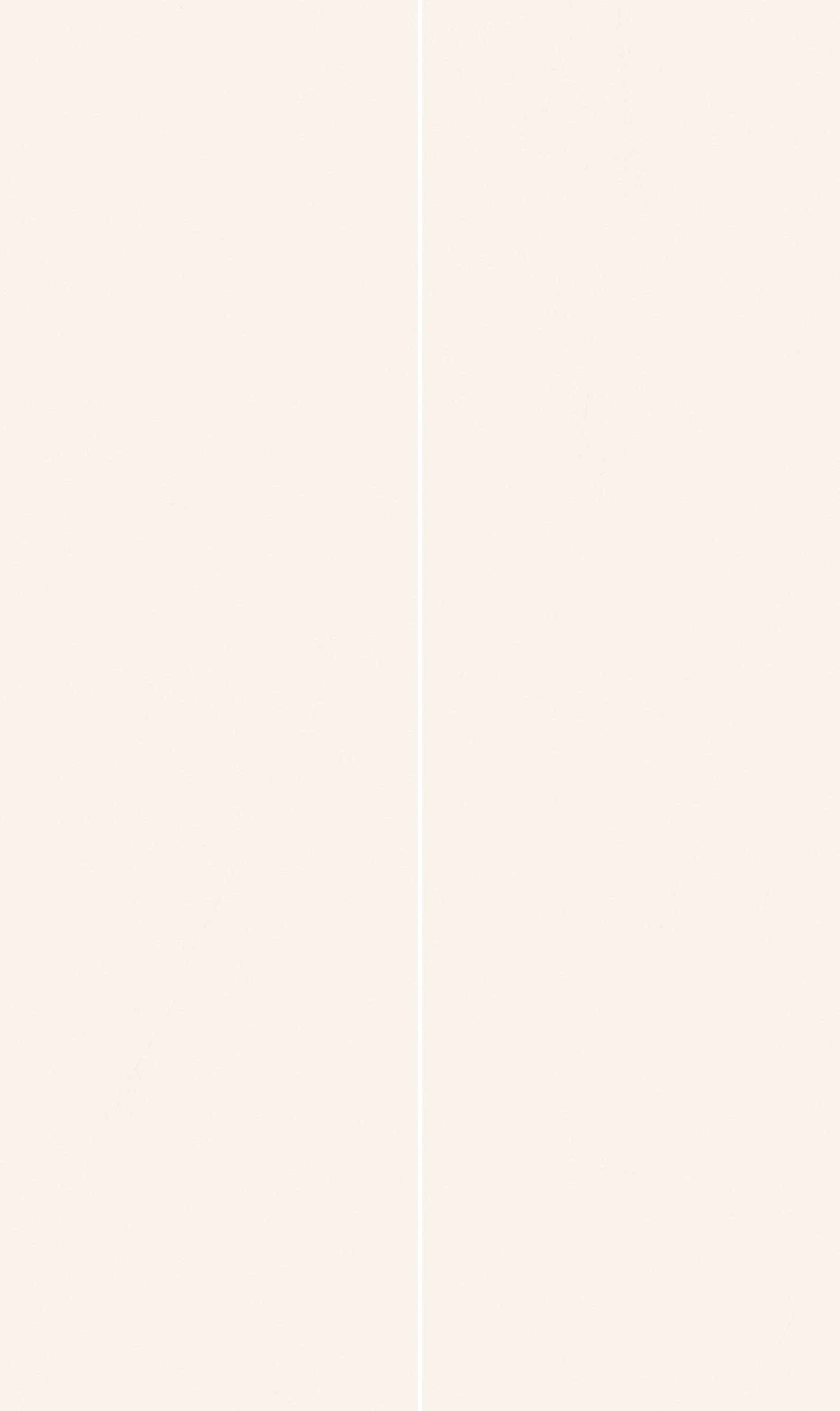 一石多面图